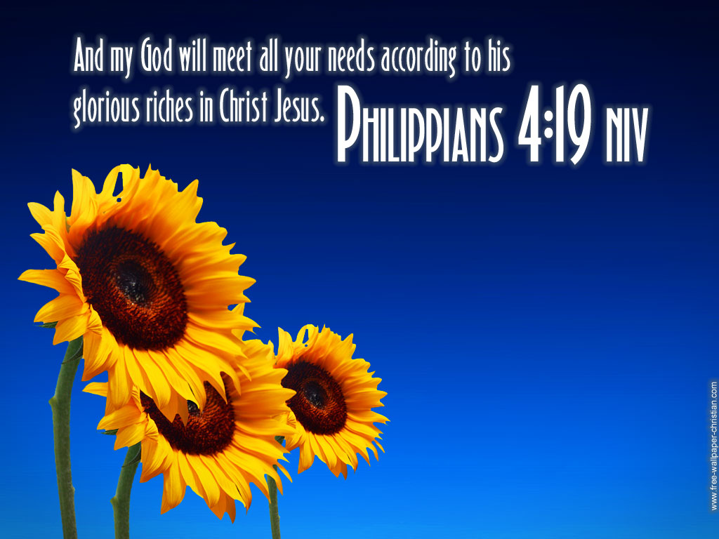 Philippians 4 19 Scripture Flower Hd Wallpaper - My God Will Supply All Your Needs According To His - HD Wallpaper 