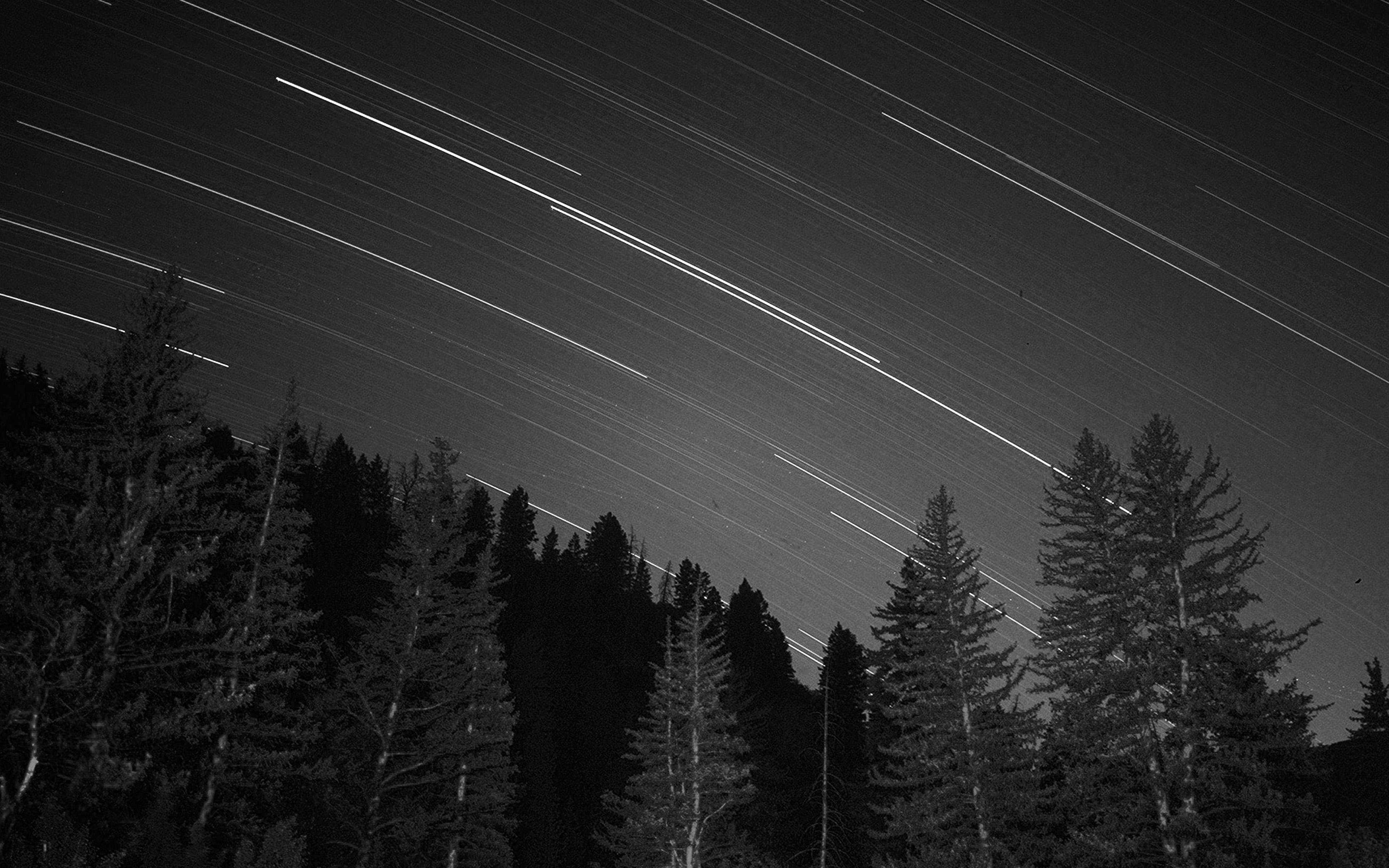 Night In The Woods Iphone - HD Wallpaper 