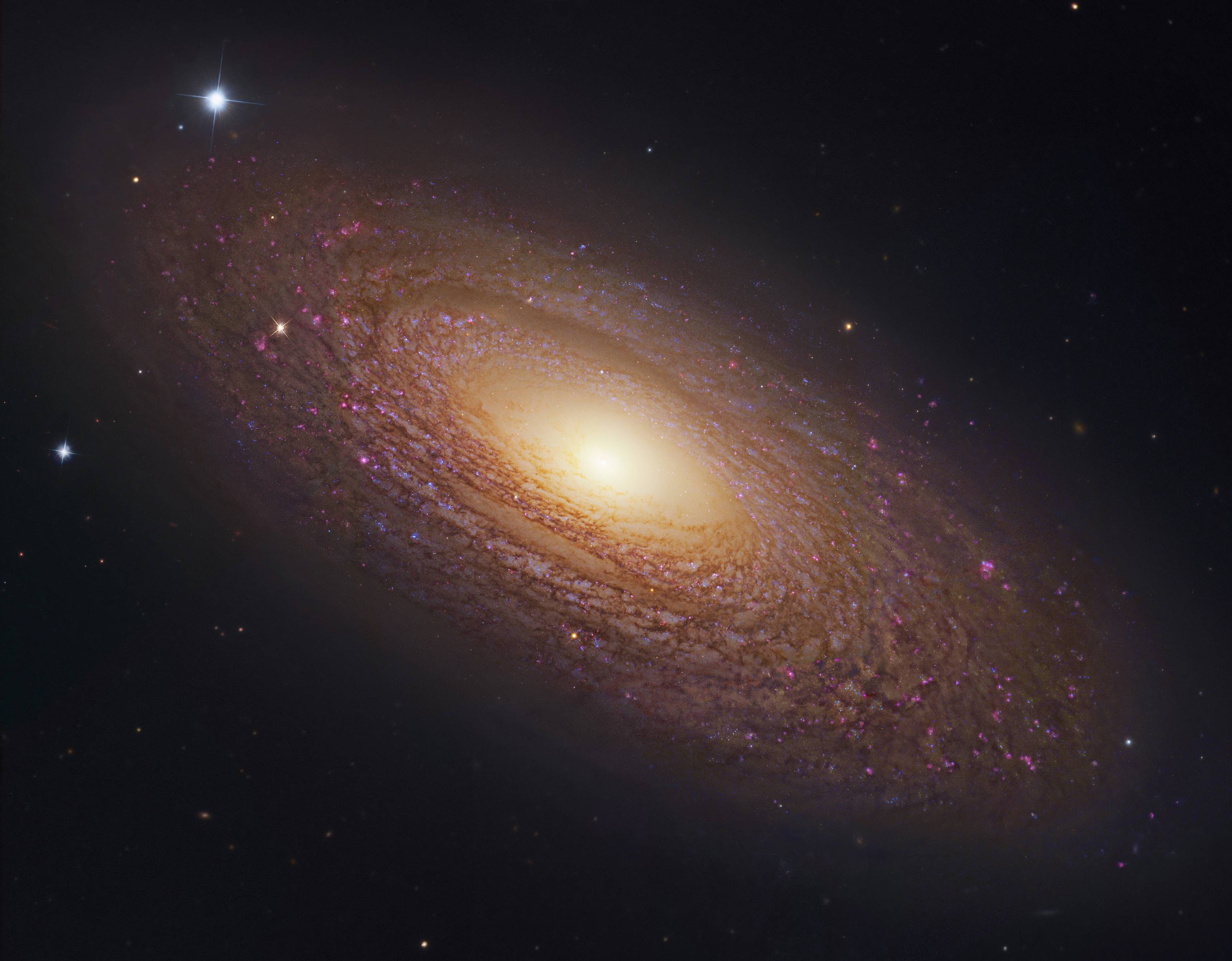 Galaxy Ngc 2841 - HD Wallpaper 