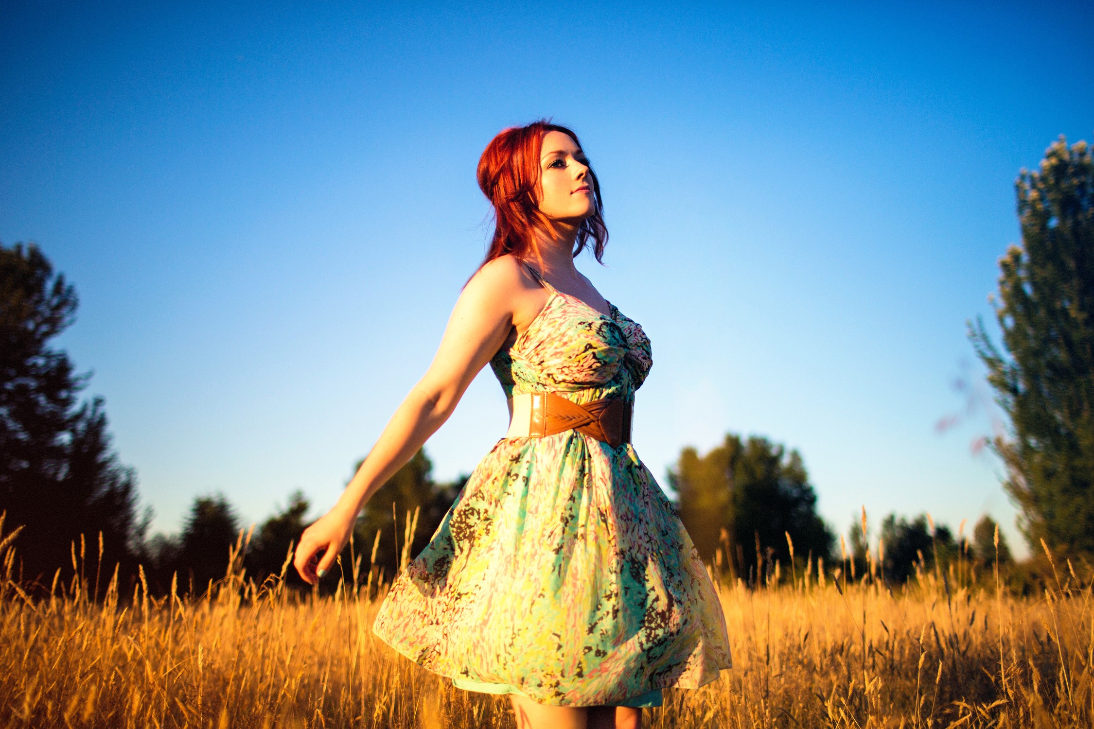 Wallpaper - HD Wallpaper 