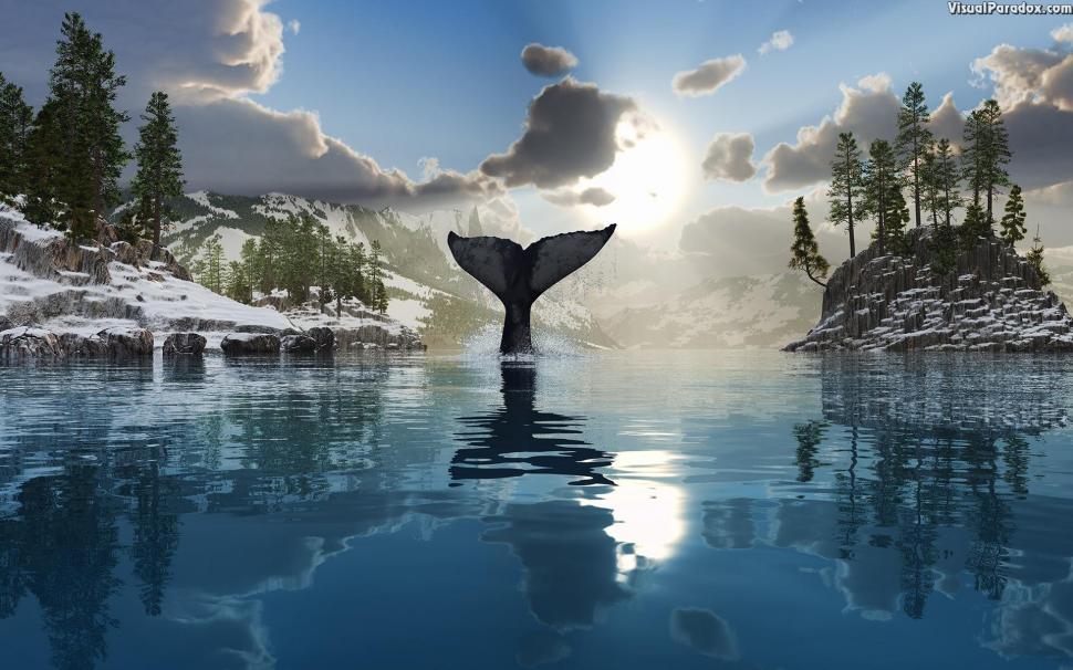 The Refreshing Cold Summer Wallpaper,water Hd Wallpaper,whale - Verano Fondos De Pantalla Gratis - HD Wallpaper 