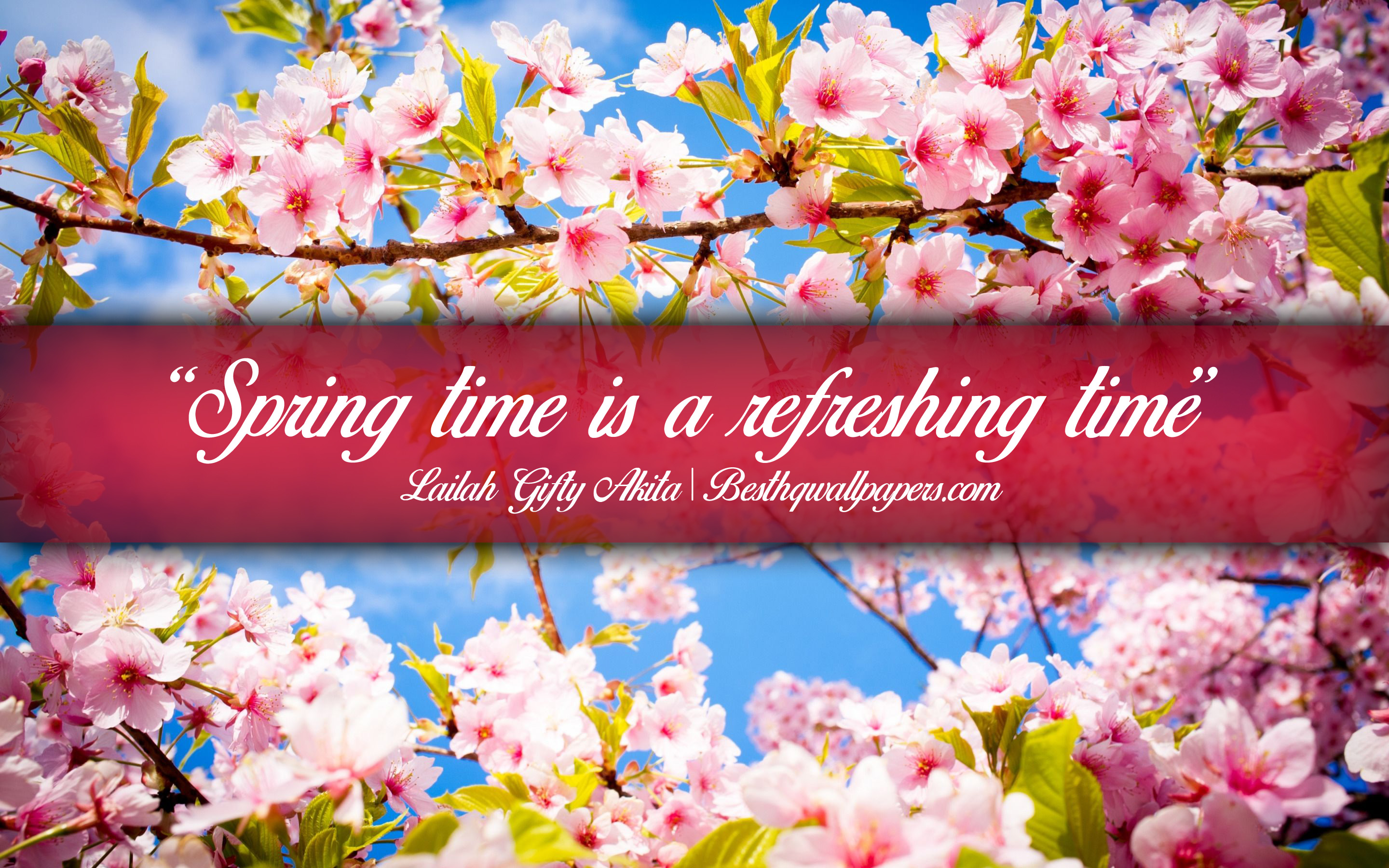 Spring Time Is A Refreshing Time, Lailah Gifty Akita, - Pretty Spring Backgrounds - HD Wallpaper 