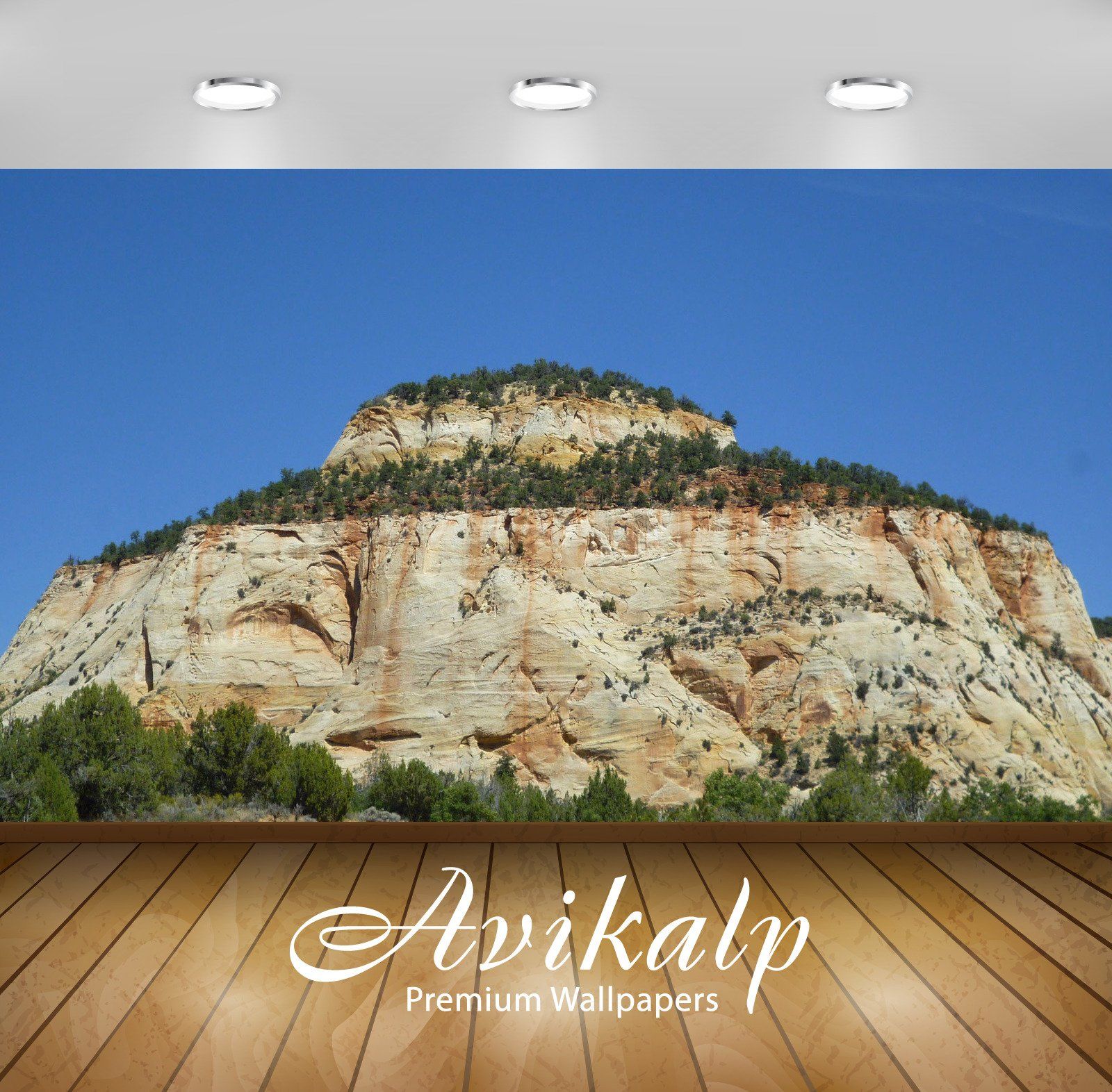 Zion National Park - 1600x1572 Wallpaper - teahub.io