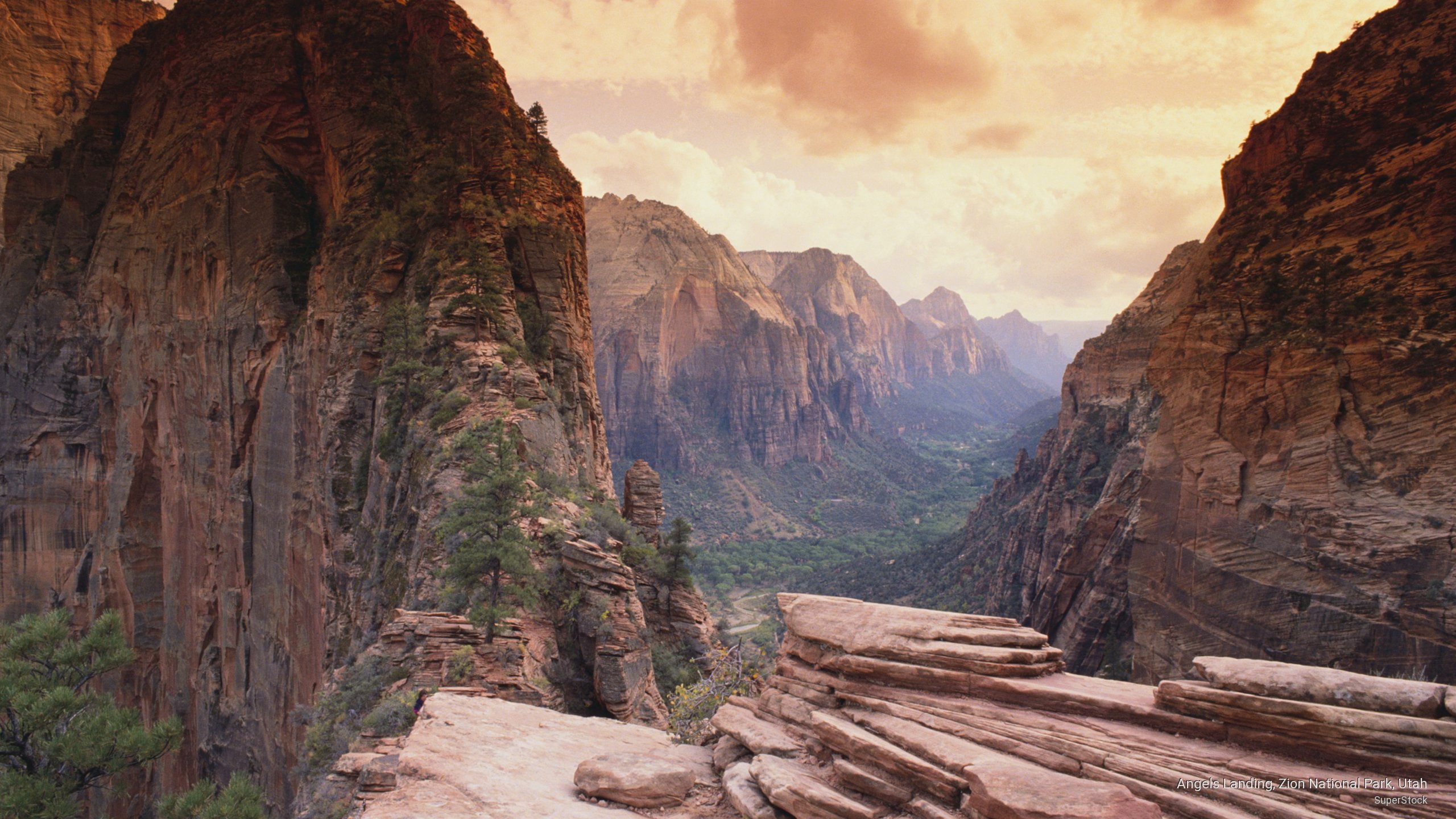 Zion National Park - HD Wallpaper 