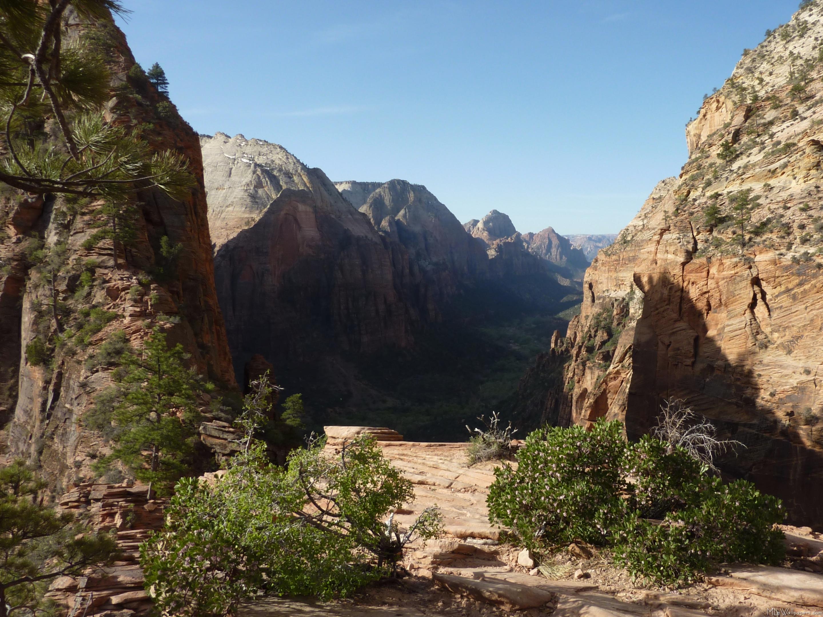 Zion From Angels Landing Trail - Angels Landing - HD Wallpaper 
