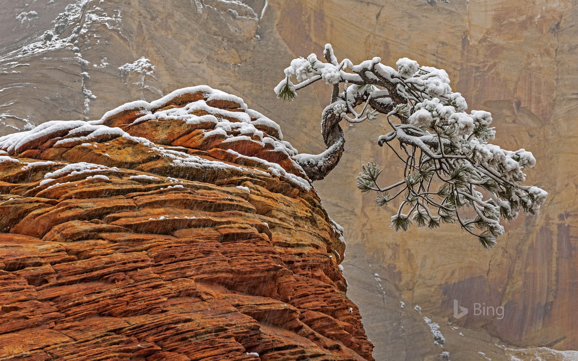 Zion National Park Snow - HD Wallpaper 