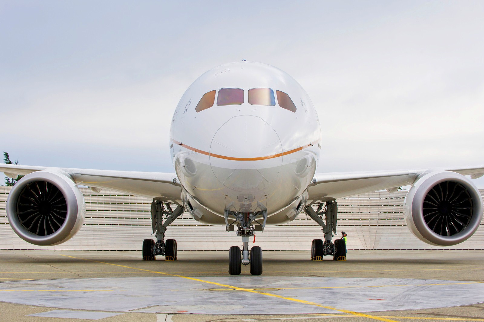 Boeing 787 Dreamliner United Airlines, B787 Dreamliner - Halloween Plane - HD Wallpaper 