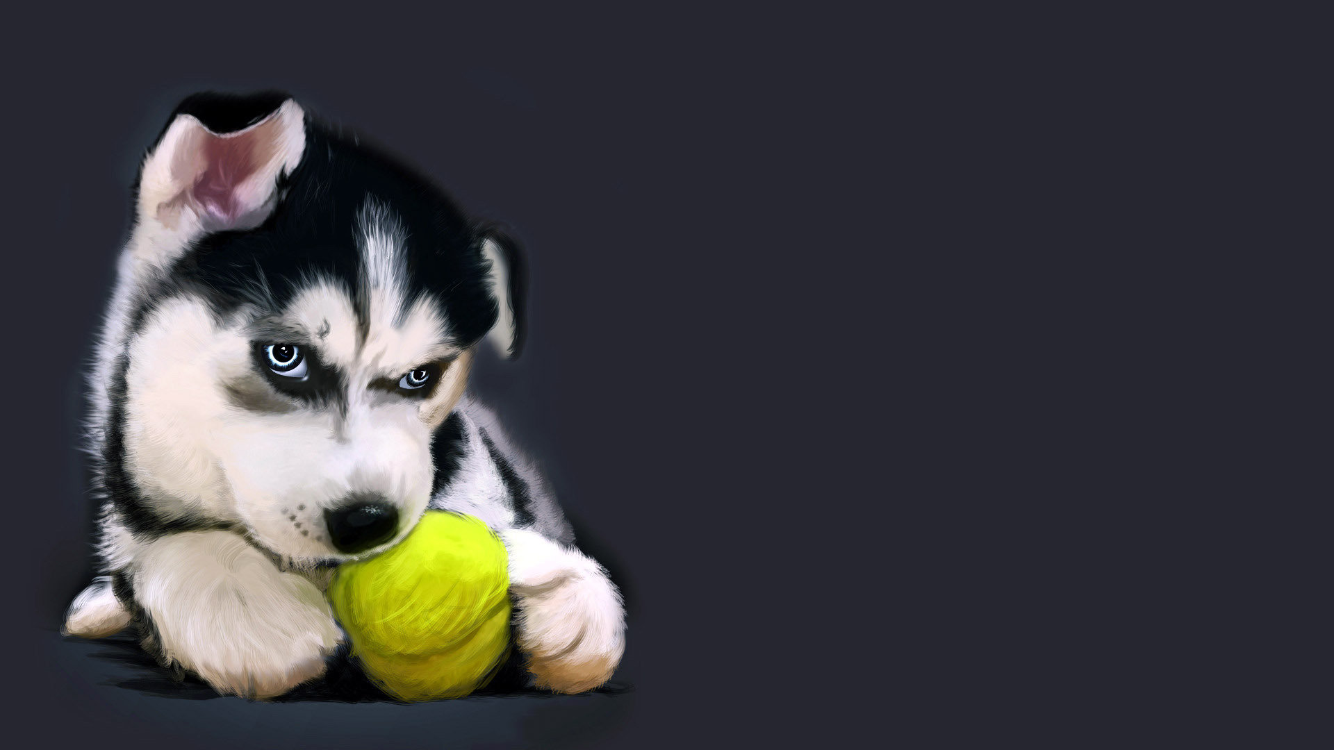 Awesome Cool Animal Free Wallpaper Id - Husky Dog Playing With Ball - HD Wallpaper 
