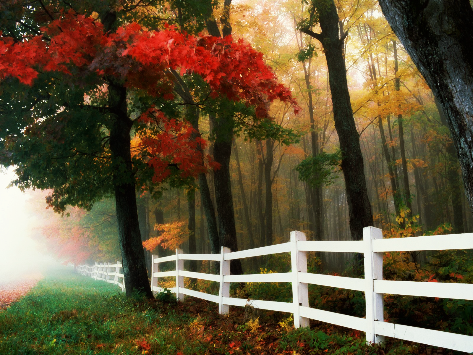 Beautiful Nature In American - HD Wallpaper 