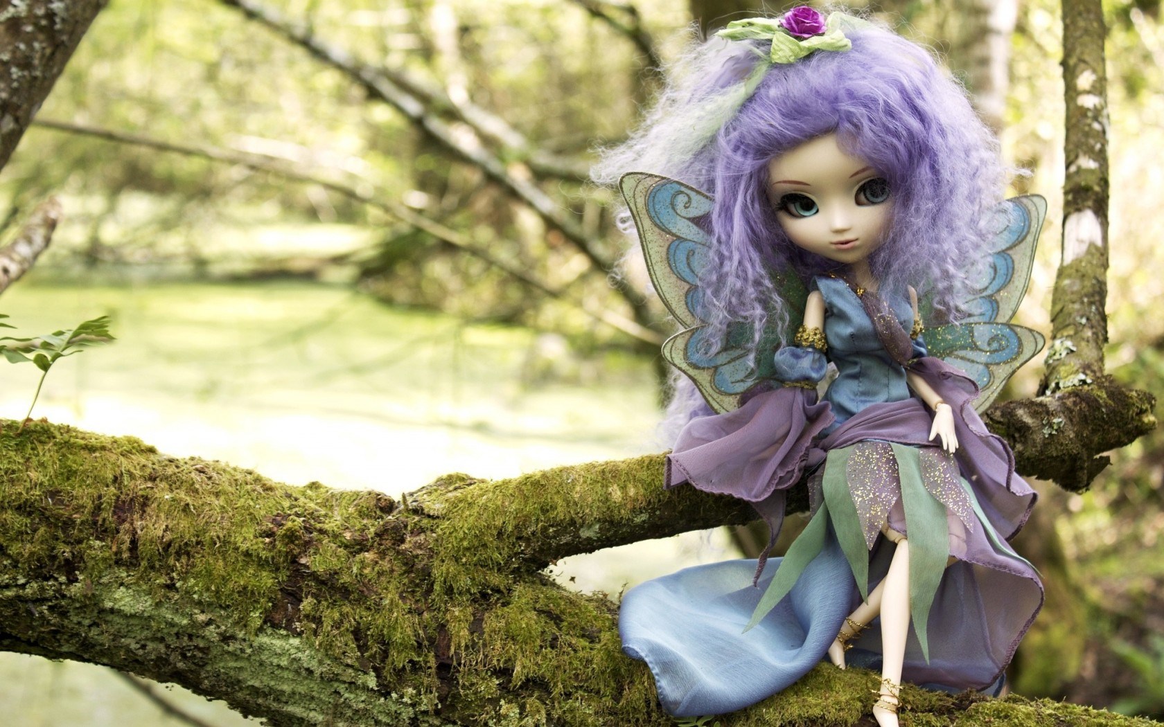 Doll Pictures Wallpapers - HD Wallpaper 