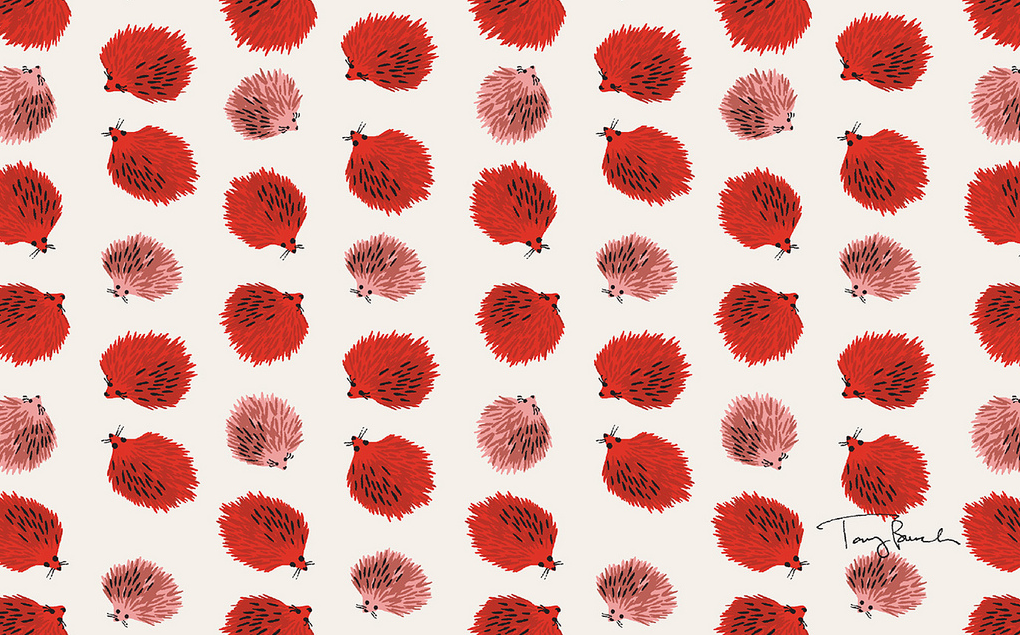 Cool Computer Backgrounds Hedgehogs - HD Wallpaper 