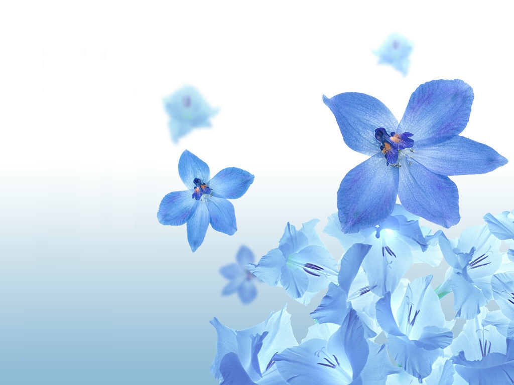 Blue Flower Anime Background - HD Wallpaper 