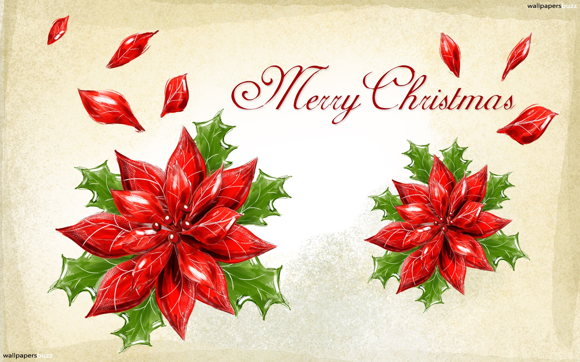 Merry Christmas Poinsettia Wallpapers Free - HD Wallpaper 