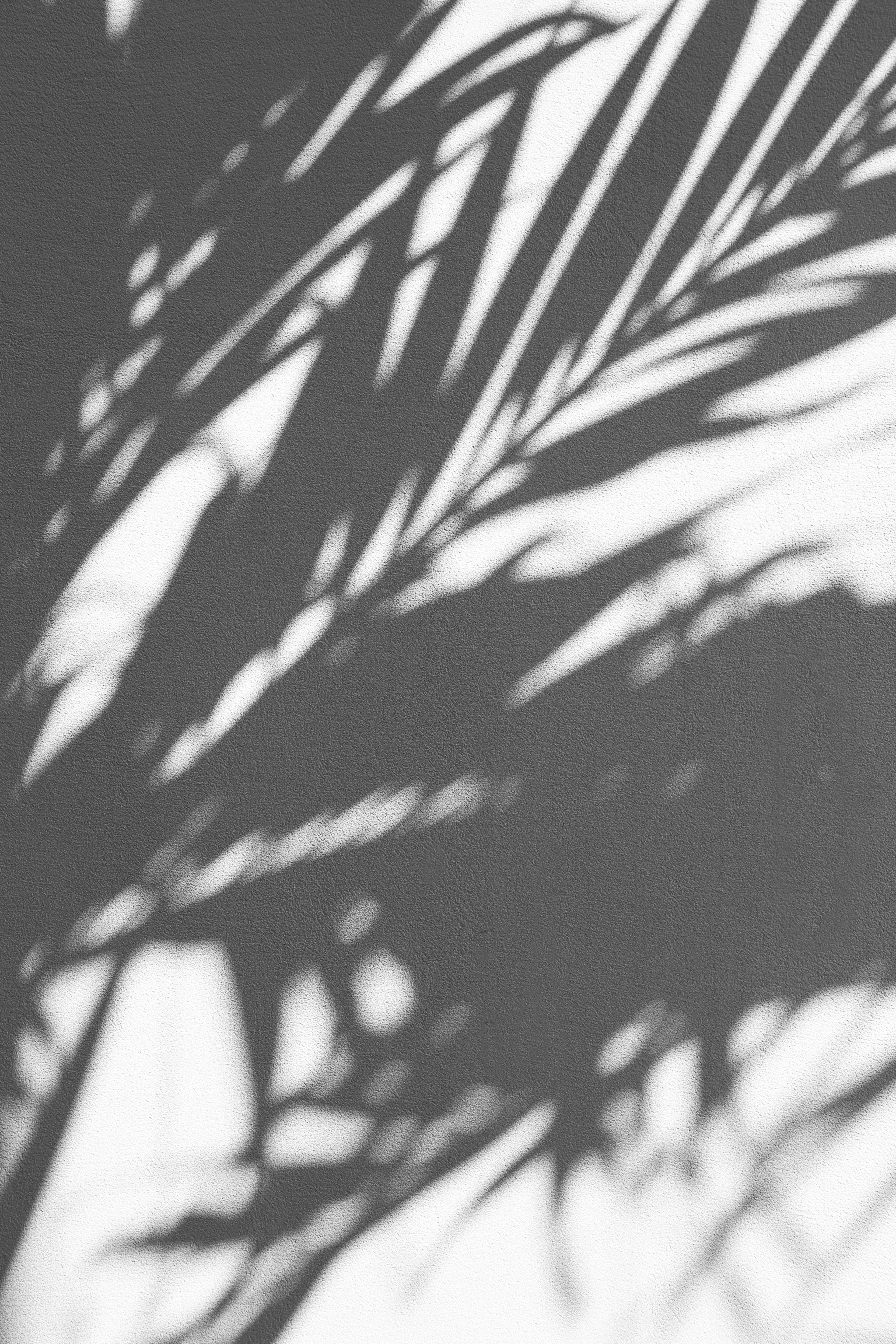 Shadow Black And White - HD Wallpaper 