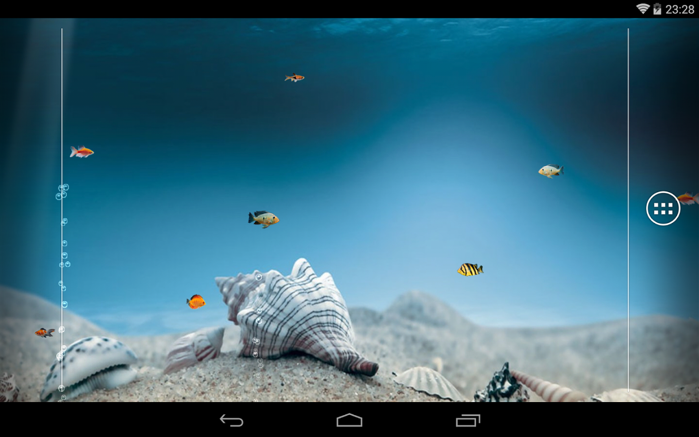 Underwater Sea Shells In The Ocean - HD Wallpaper 