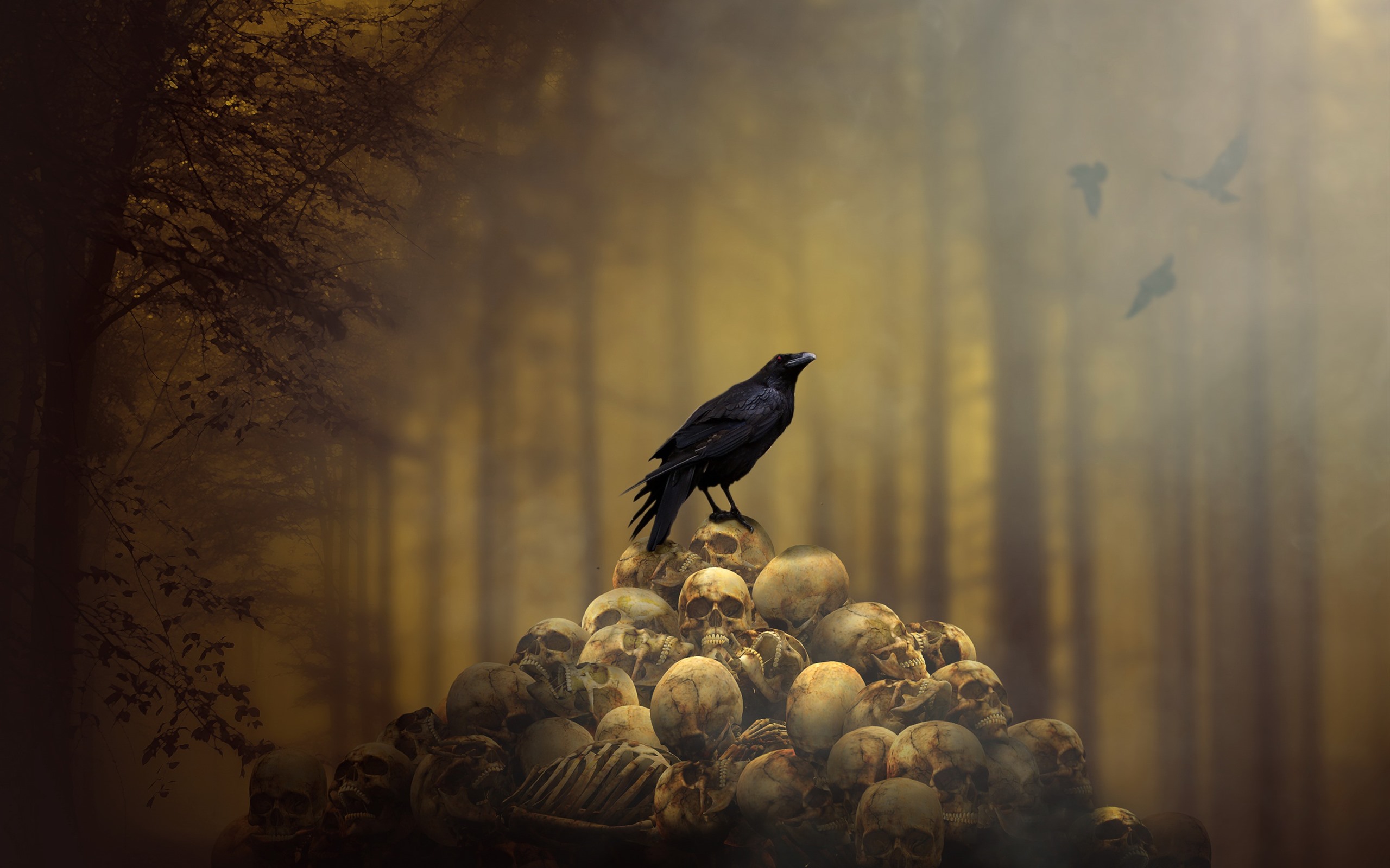 Fondos De Pantalla Cuervo, Calaveras - Raven Wallpaper Iphone - HD Wallpaper 