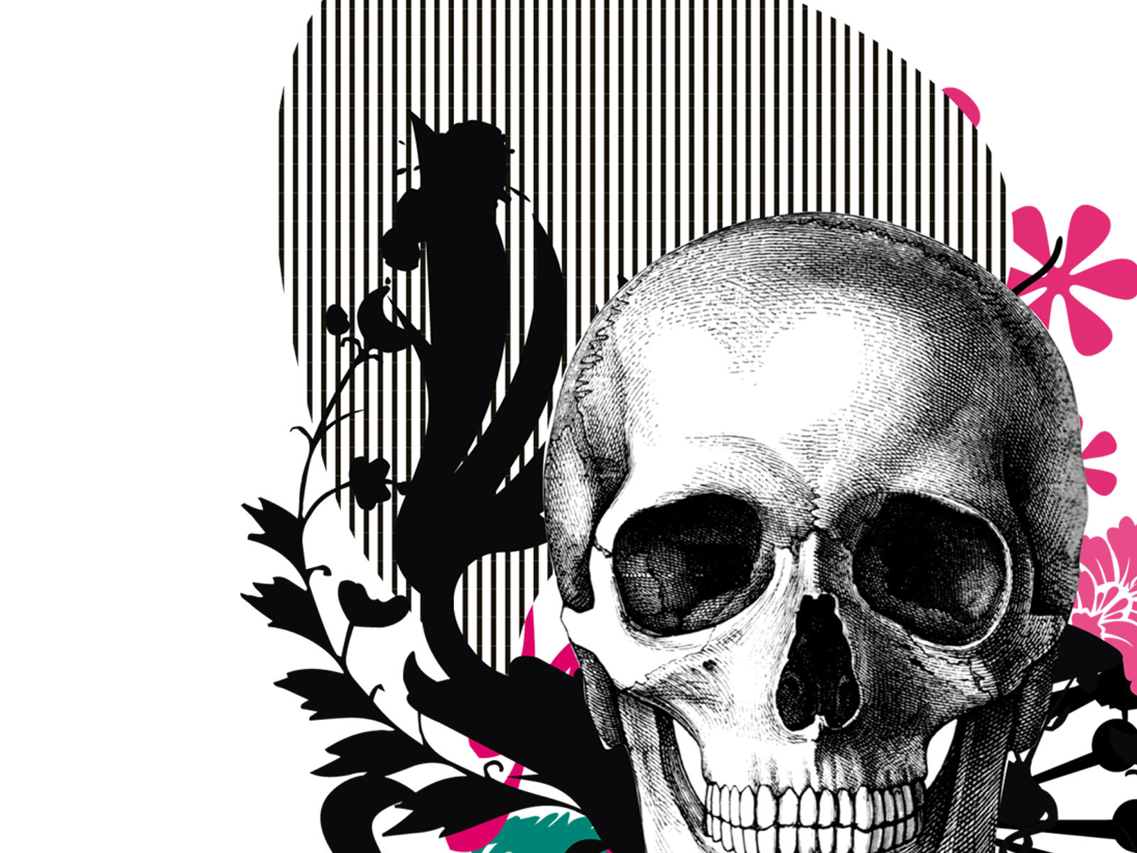 Transparent Background Skull Png - HD Wallpaper 