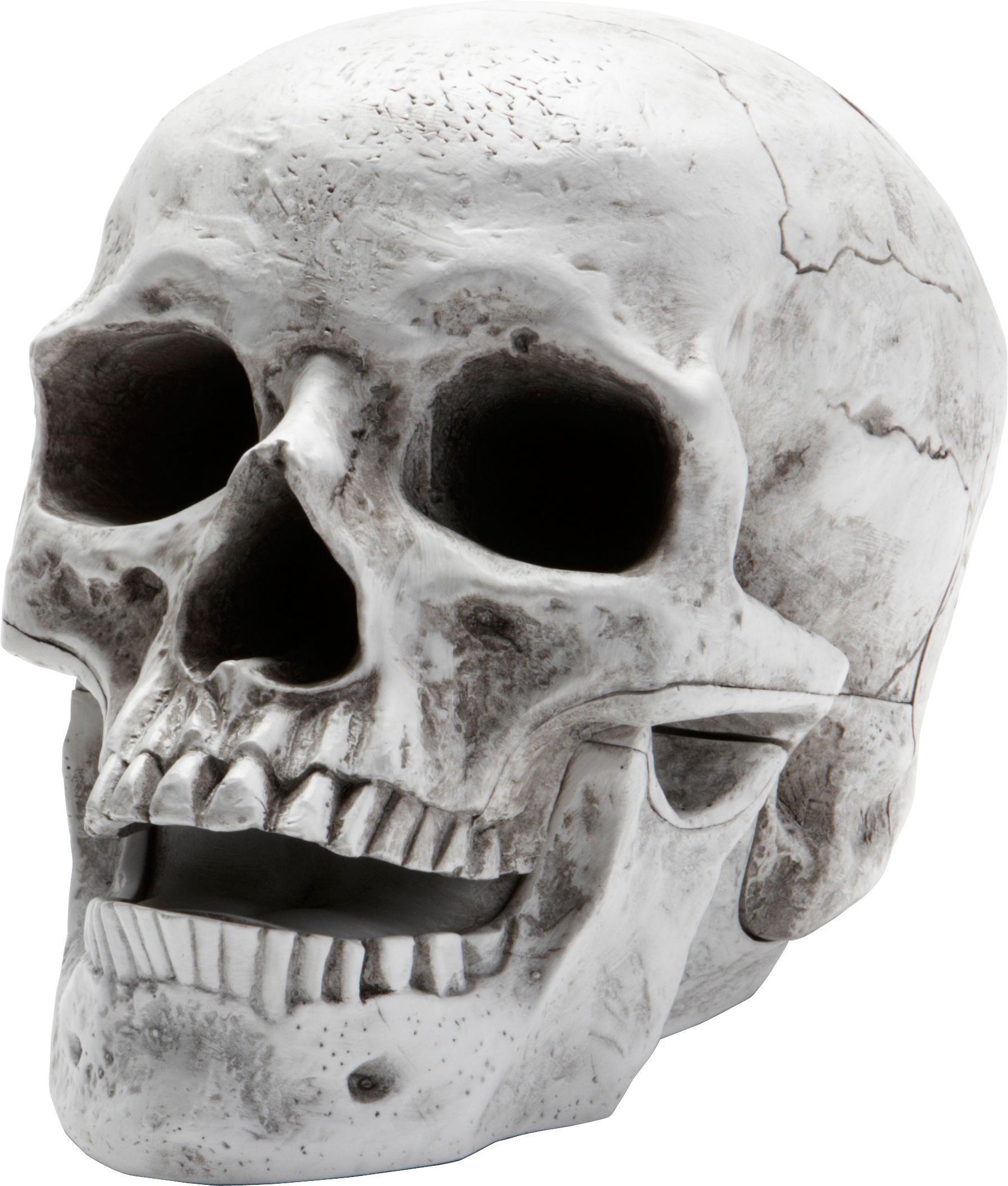 Skeleton, Skull - Skull Transparent Png - HD Wallpaper 