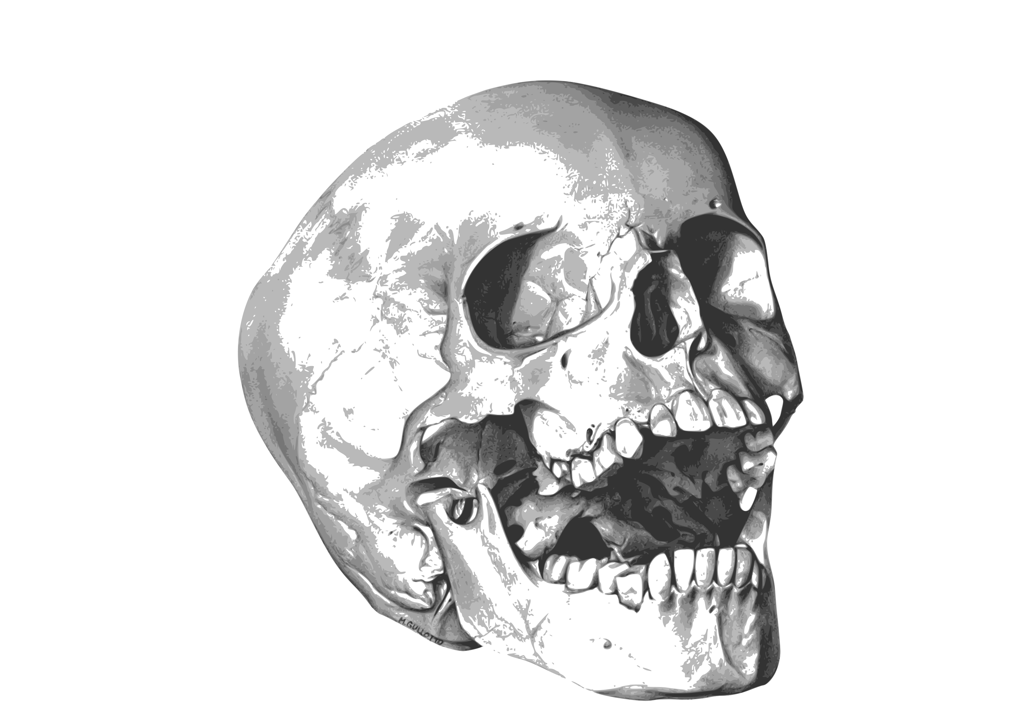 Thumb Image - Asian Girl Vs African - HD Wallpaper 