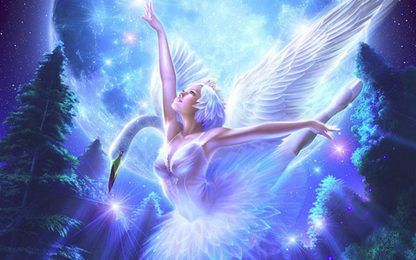 Wattpad X Ballerina Reader - HD Wallpaper 