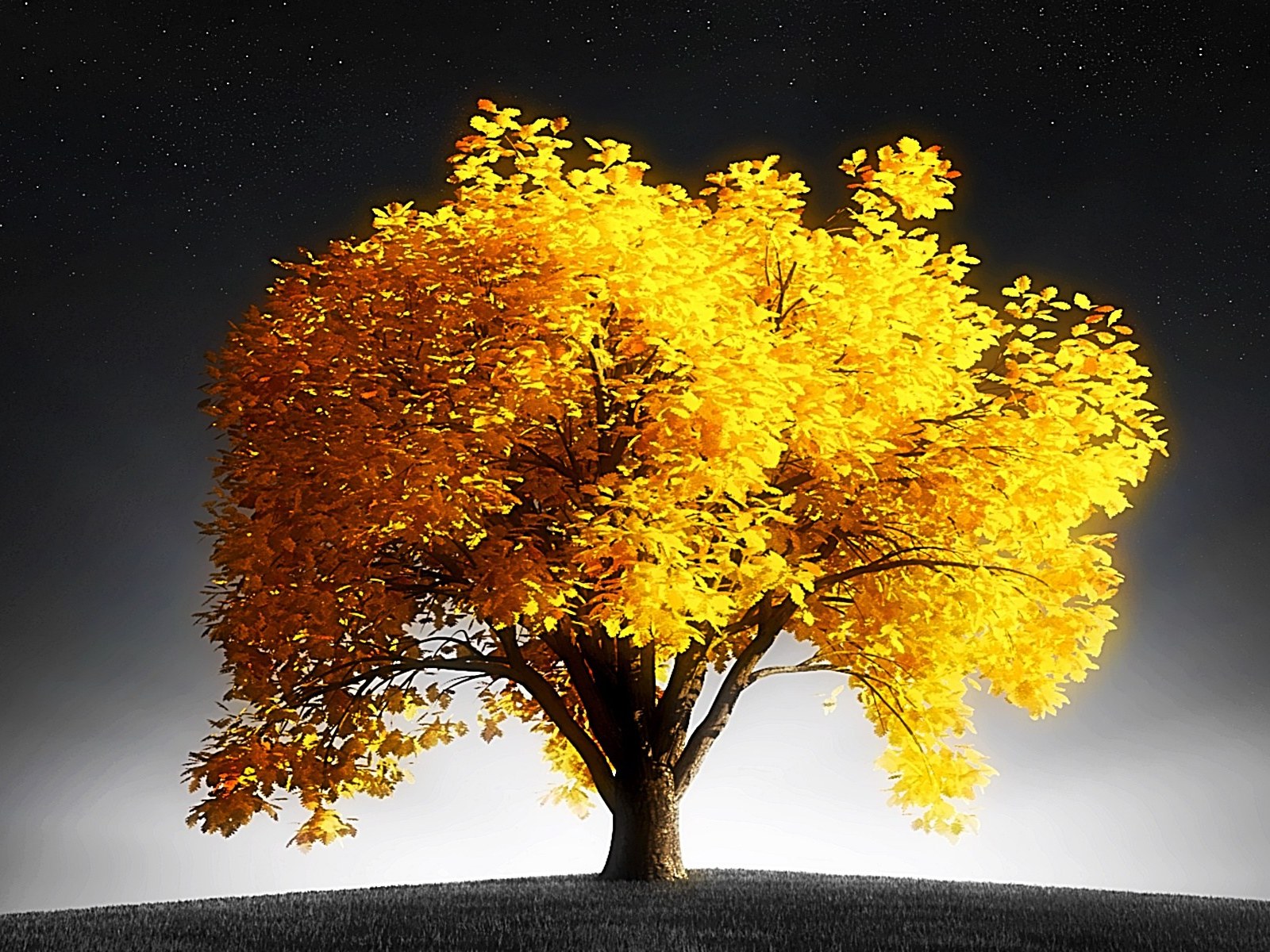Goldentree Hd - HD Wallpaper 