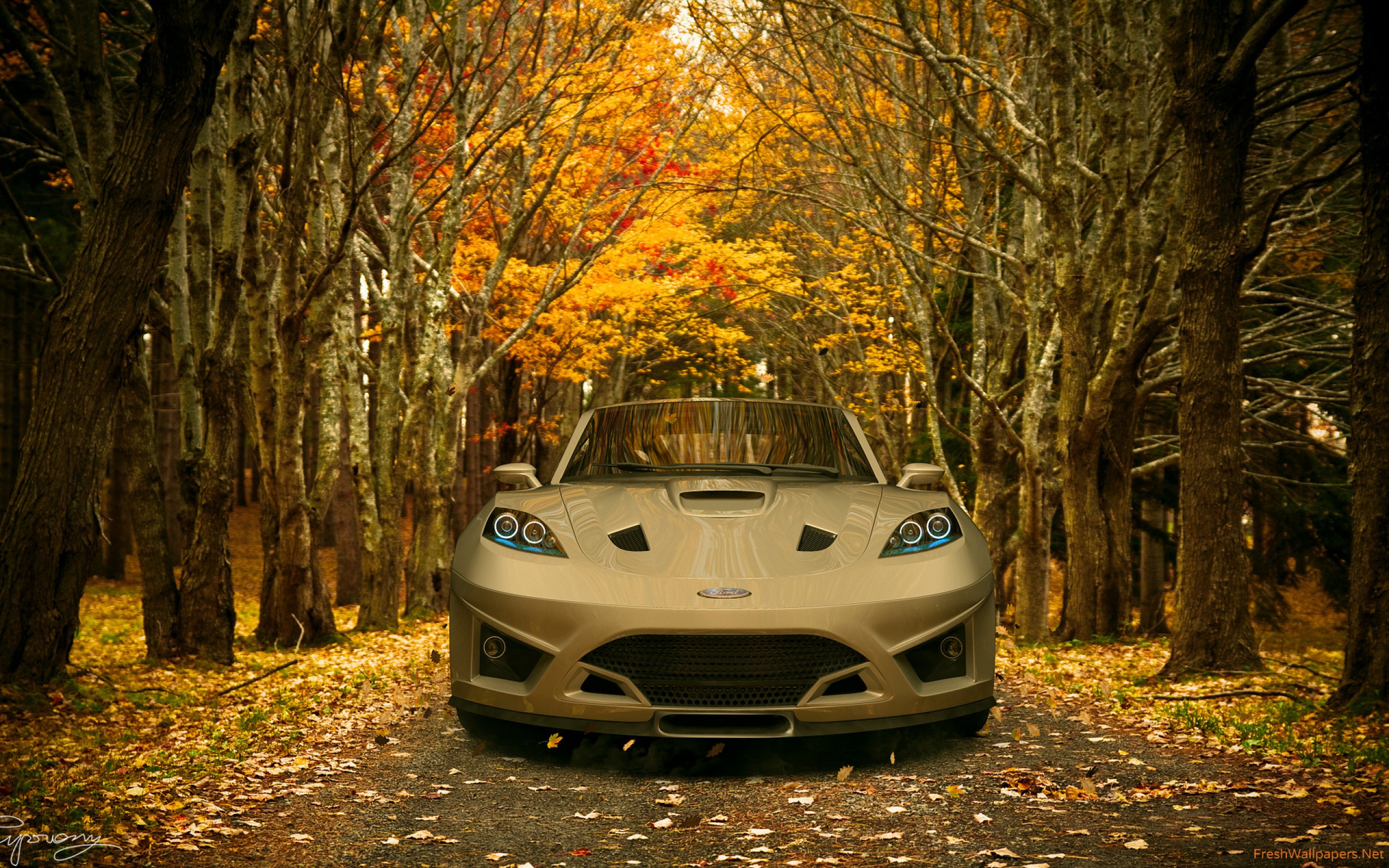 Autumn Hd - HD Wallpaper 