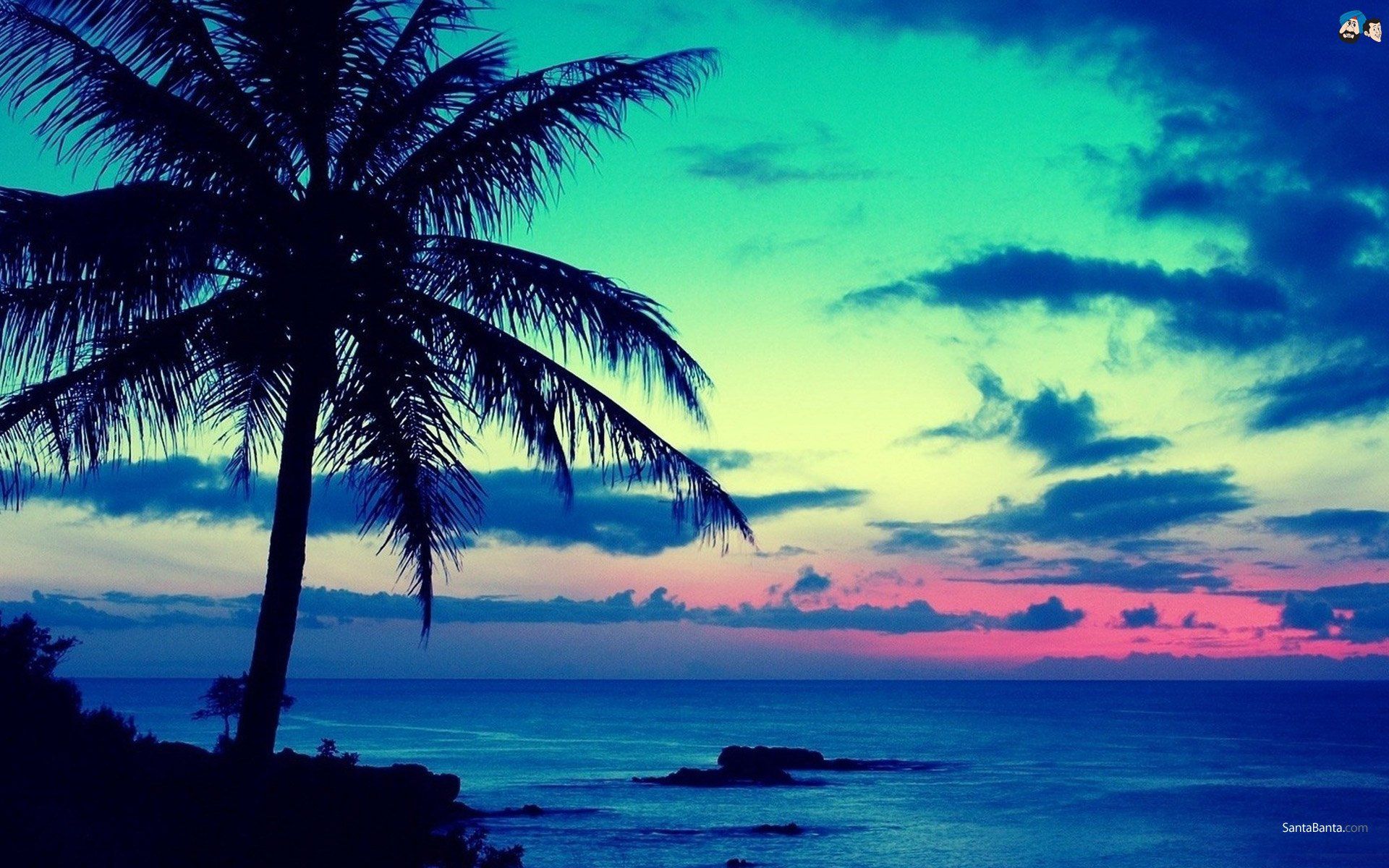 Volleyball Wallpapers For Your Phone - Blue Palm Tree Sunset - HD Wallpaper 