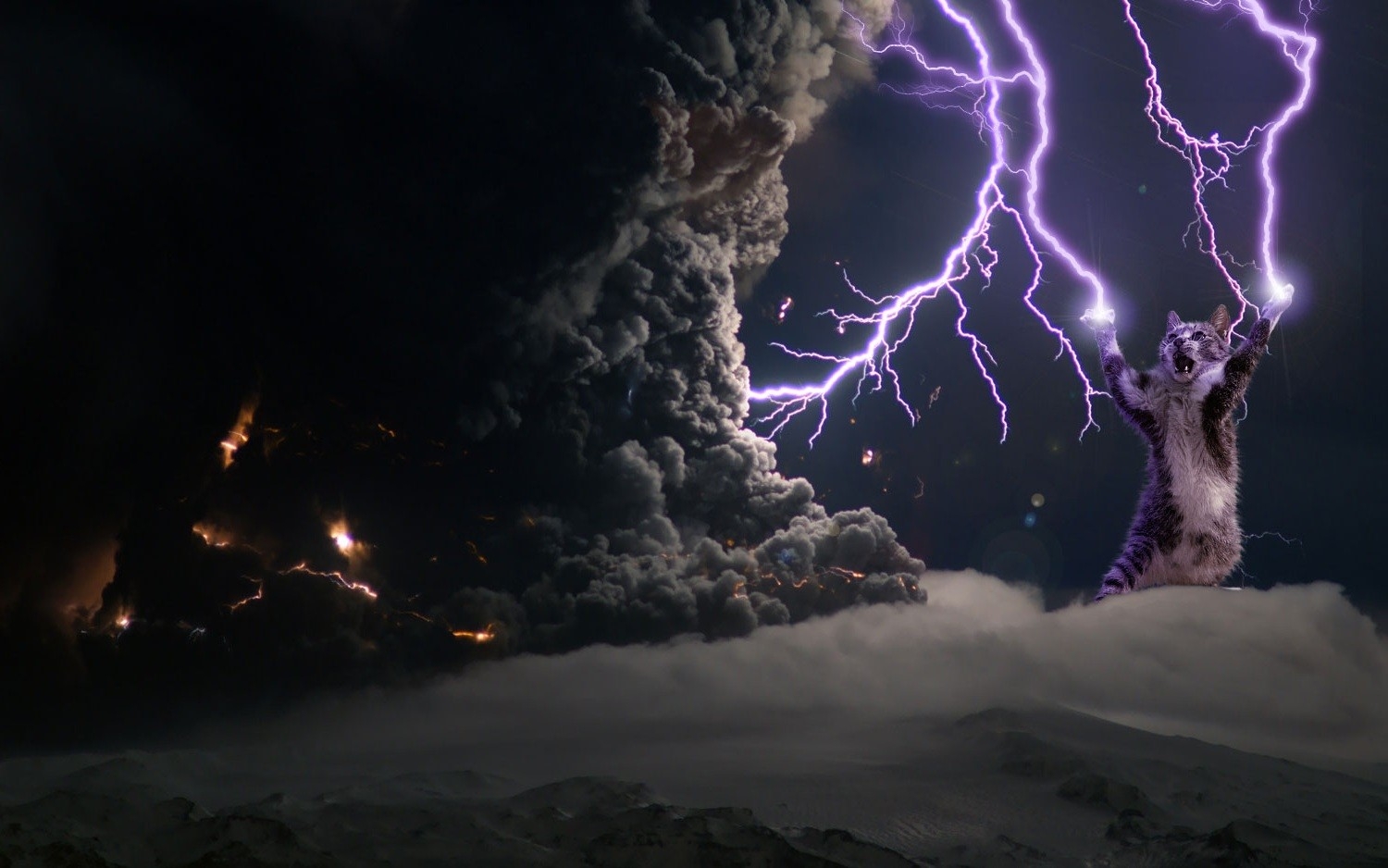 Lightning Cat 1500x938 Wallpaper teahub.io