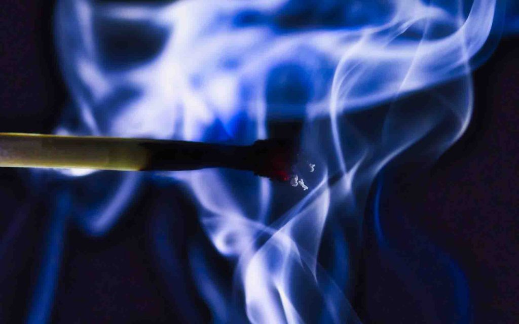 Macro Dark - HD Wallpaper 