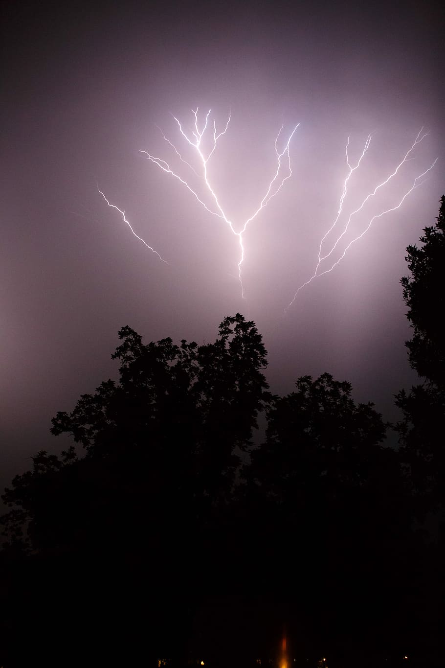 Silhouette Of Trees Under Thunder Lightning, Photo - God Of Thunder - HD Wallpaper 