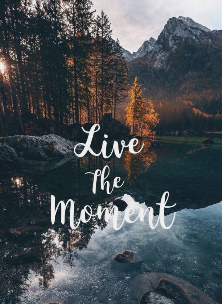 Wallpaper, Quotes, And Moment Image - Quotes With Nature Background - HD Wallpaper 