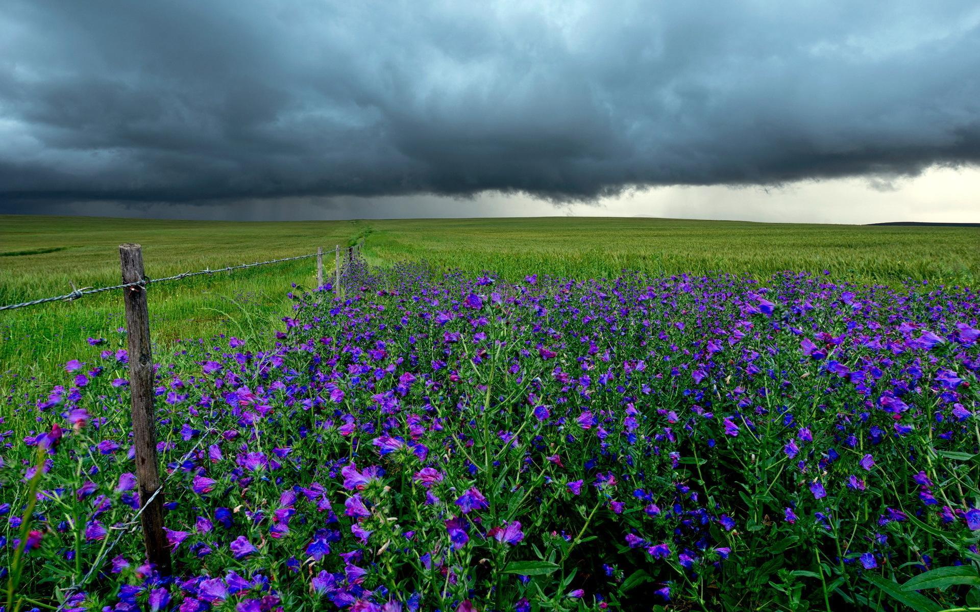 The Storm - Spring Storm Wallpaper Hd - HD Wallpaper 