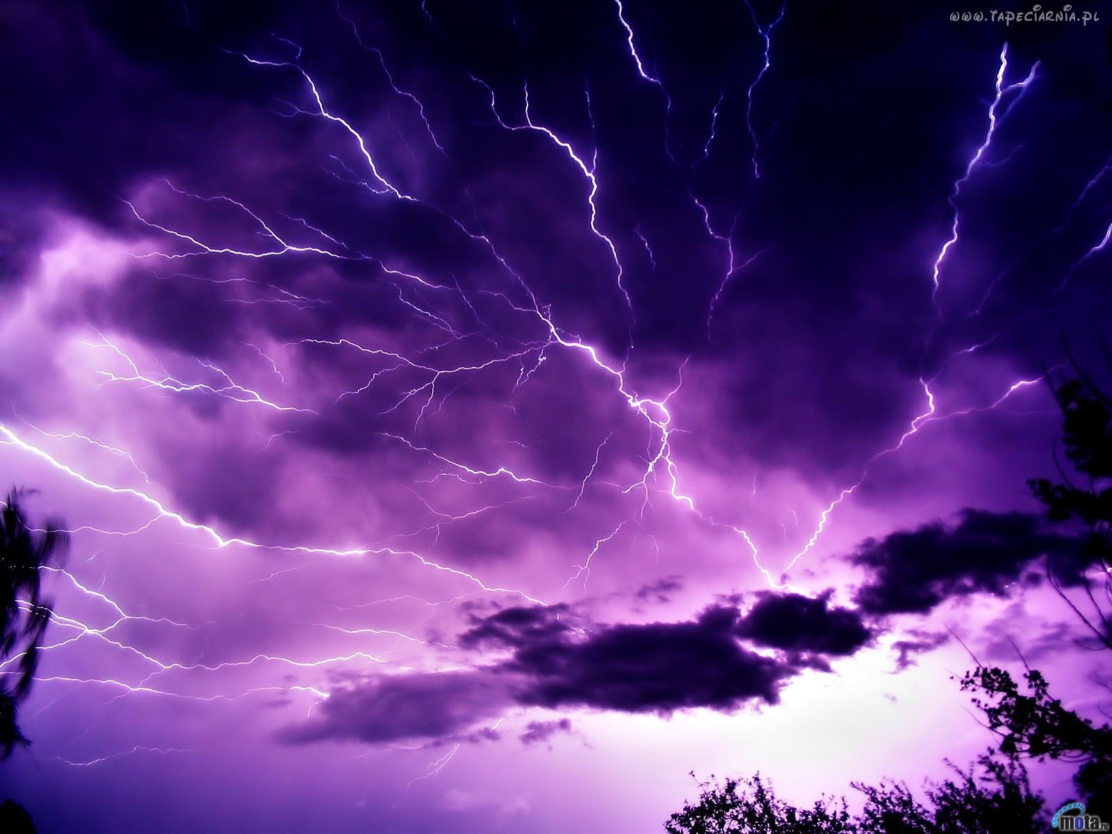 Hd Wallpaper Dark Storm With Dark Clouds Sky Wallpapers - Purple Lightning Storm Gif - HD Wallpaper 