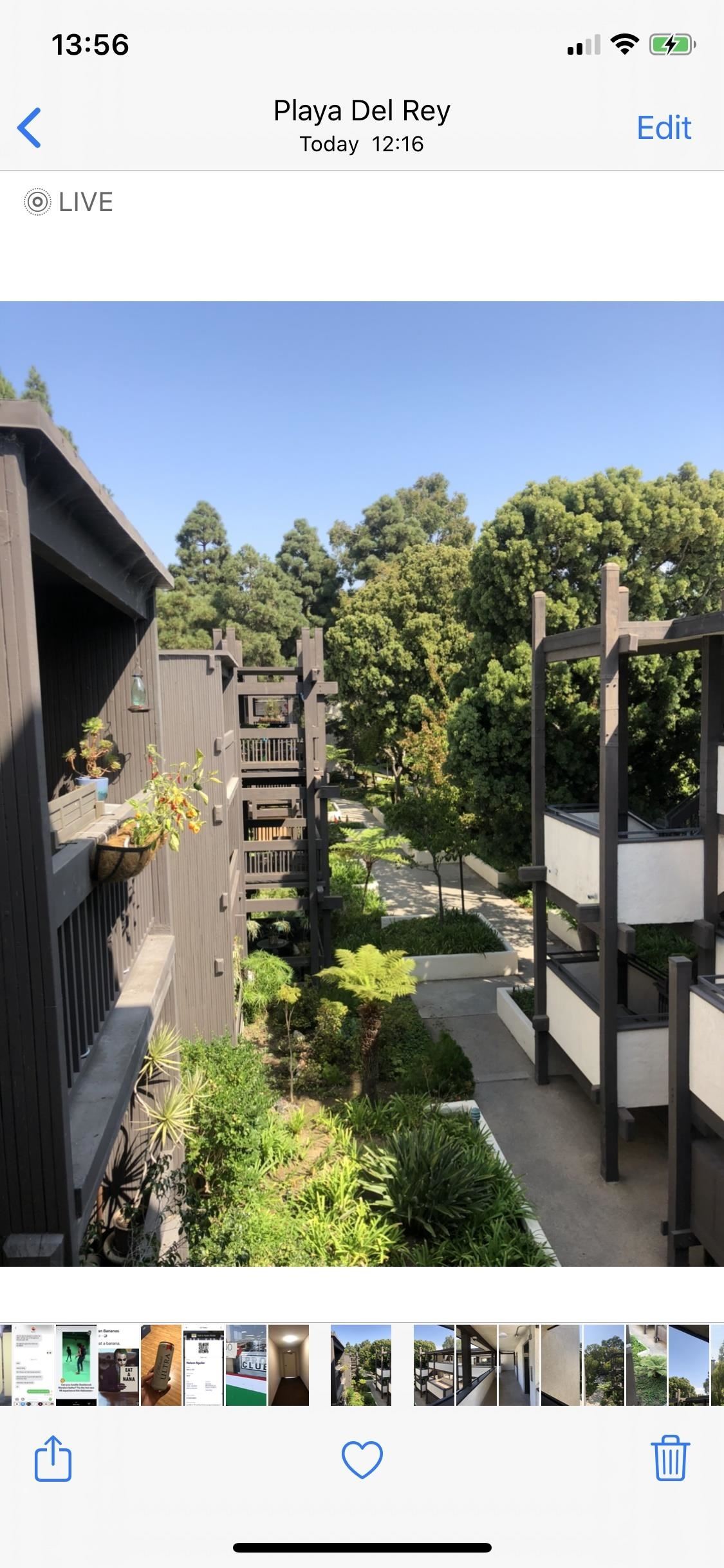 Convert Multiple Live Photos Into 1 Continuous Video - Tree - HD Wallpaper 