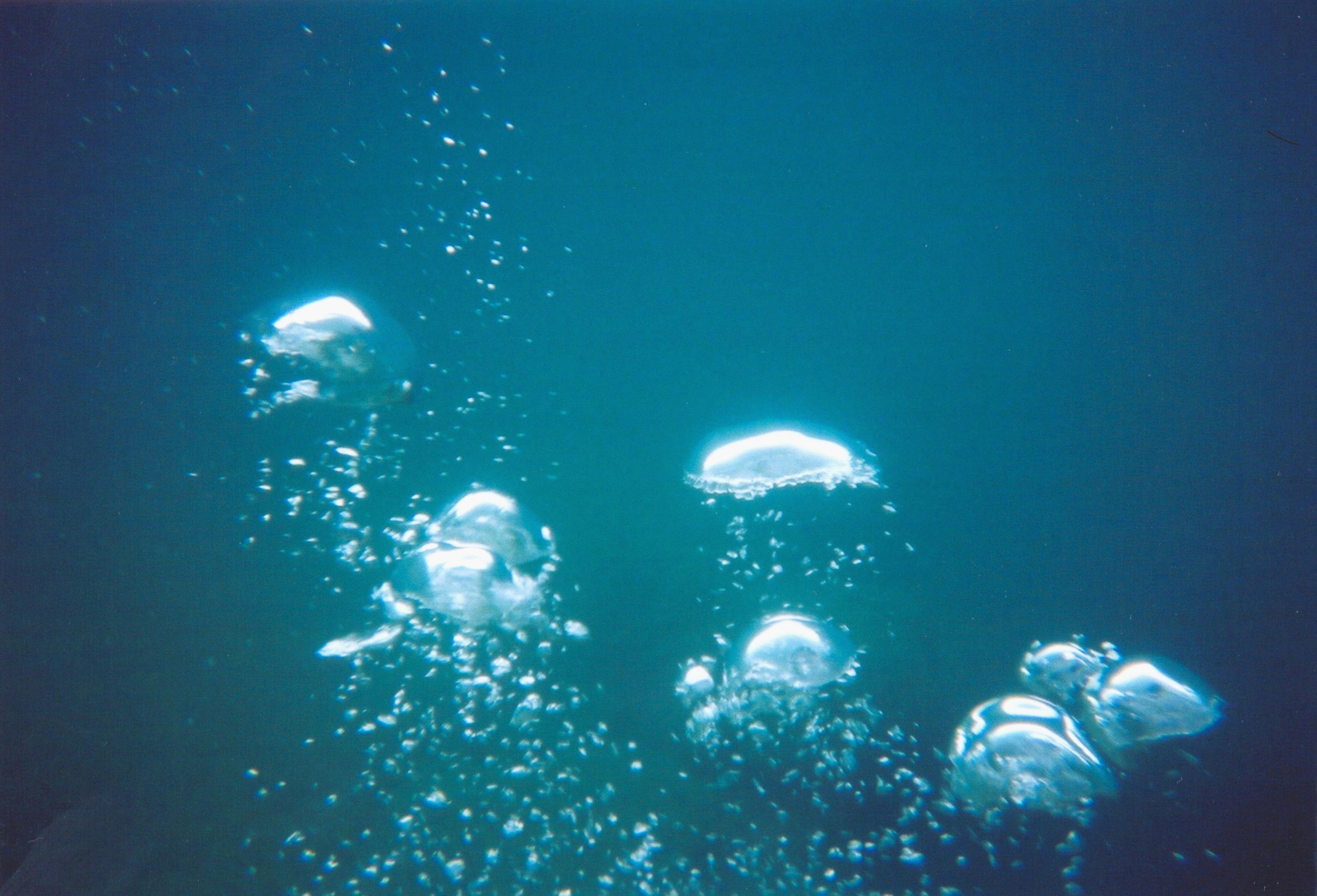 Bubble Live Wallpaper - Deviantart Ocean Bubbles - HD Wallpaper 