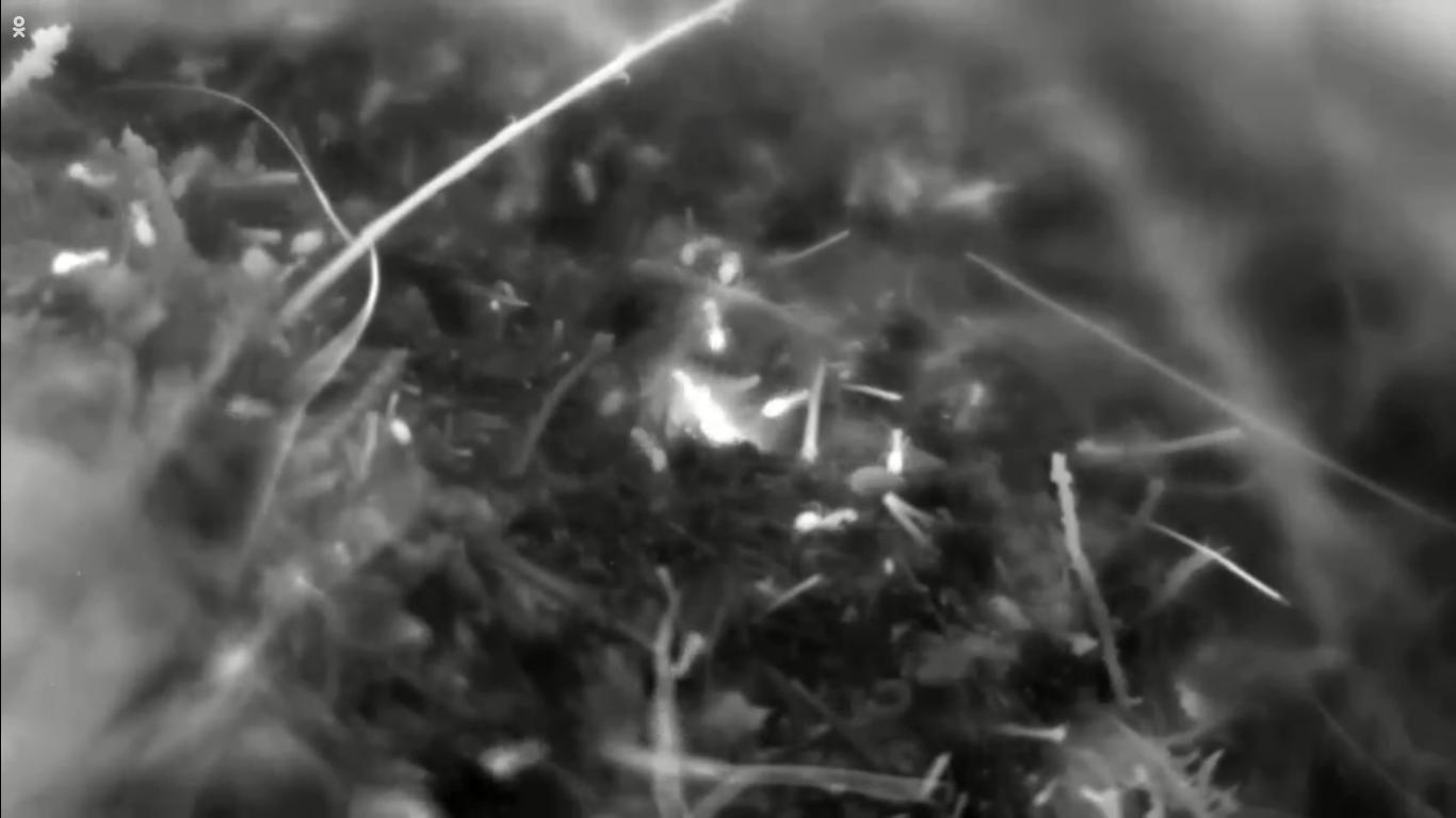 Monochrome - HD Wallpaper 