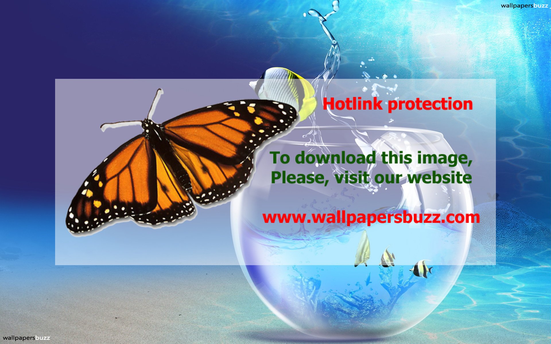 Best Wallpaper Full Hd 1080p - HD Wallpaper 