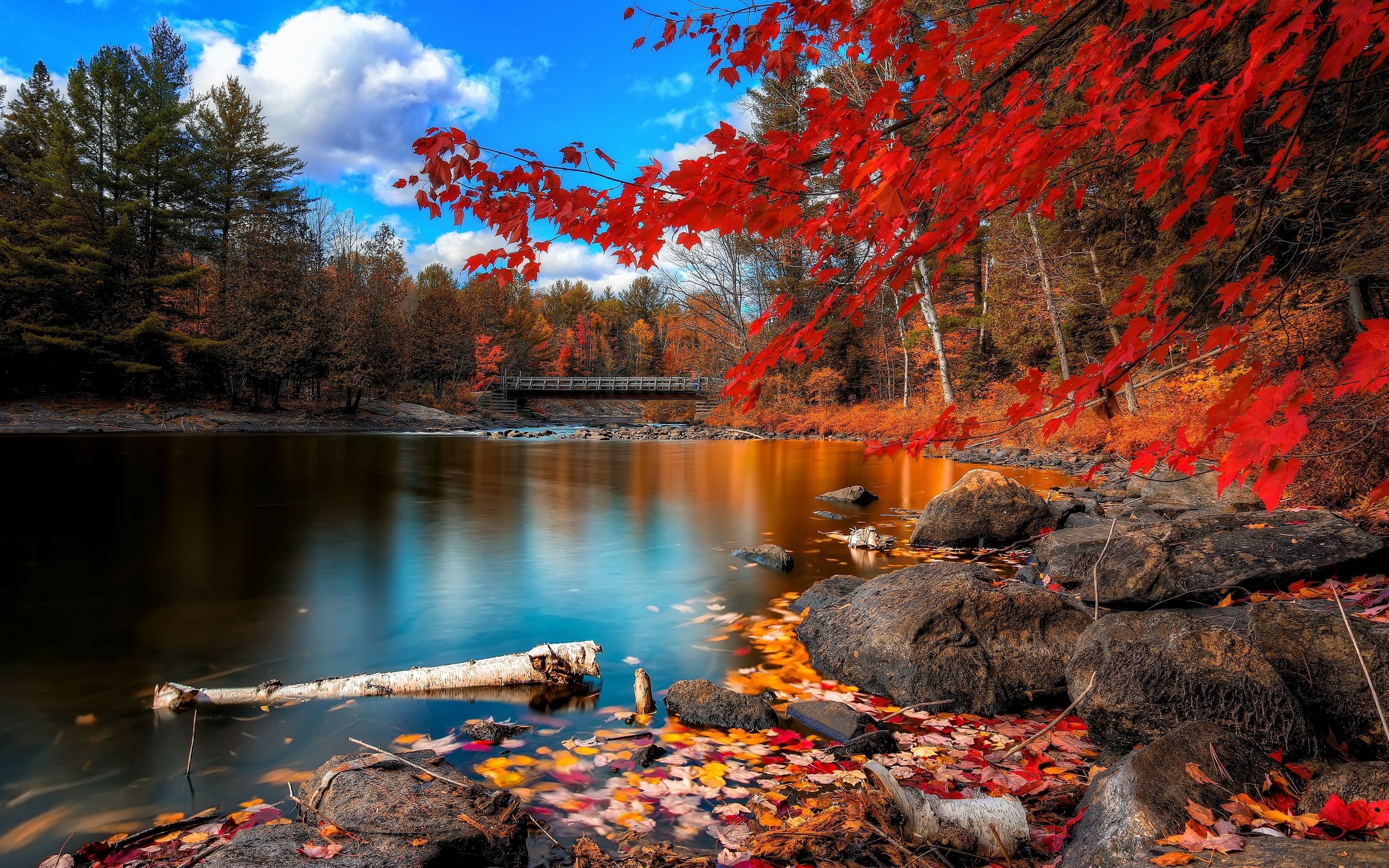 Fall Season Photo - Fall Wallpaper Computer - HD Wallpaper 