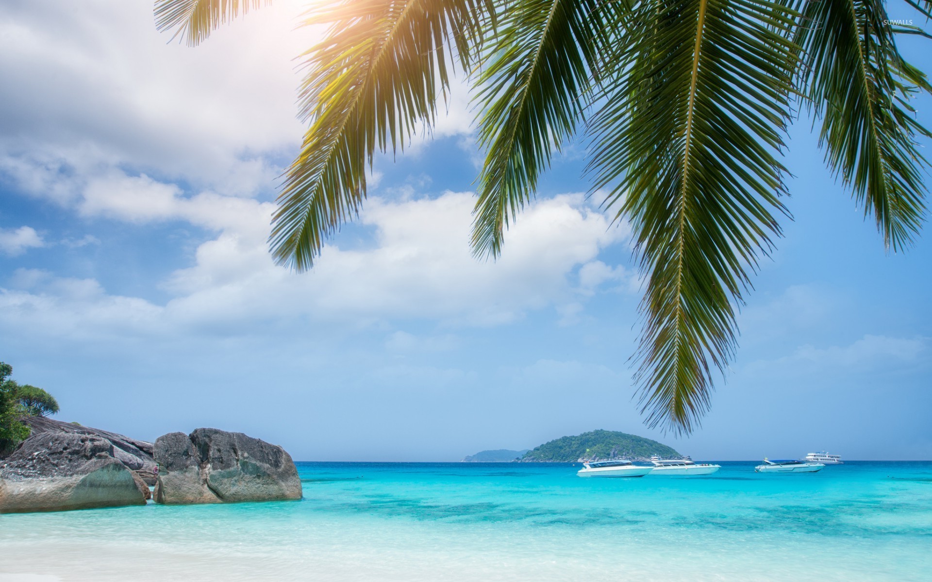 Beach Wallpaper With Palm Tree - HD Wallpaper 