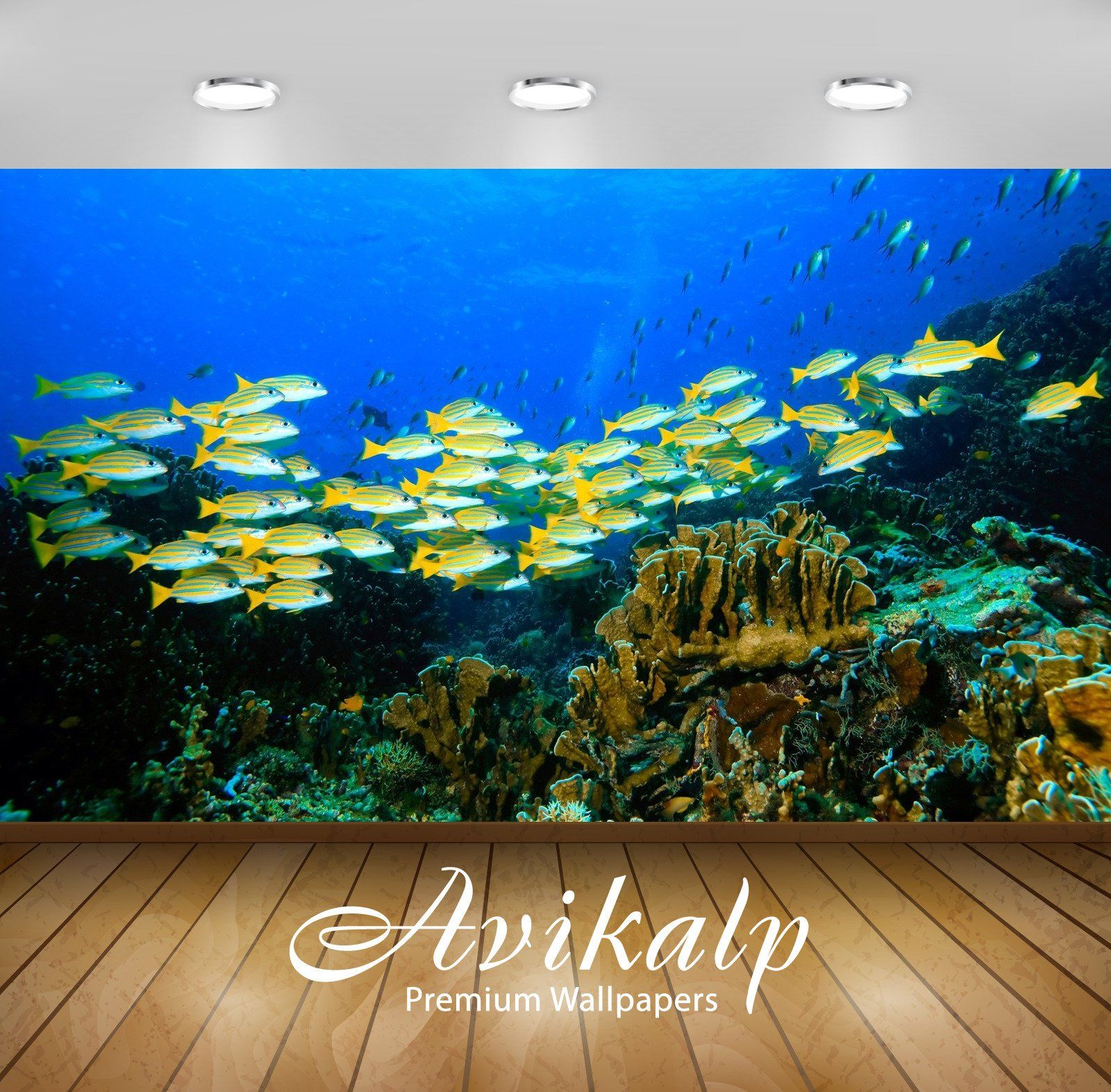 Reefs Corpus Christi - HD Wallpaper 