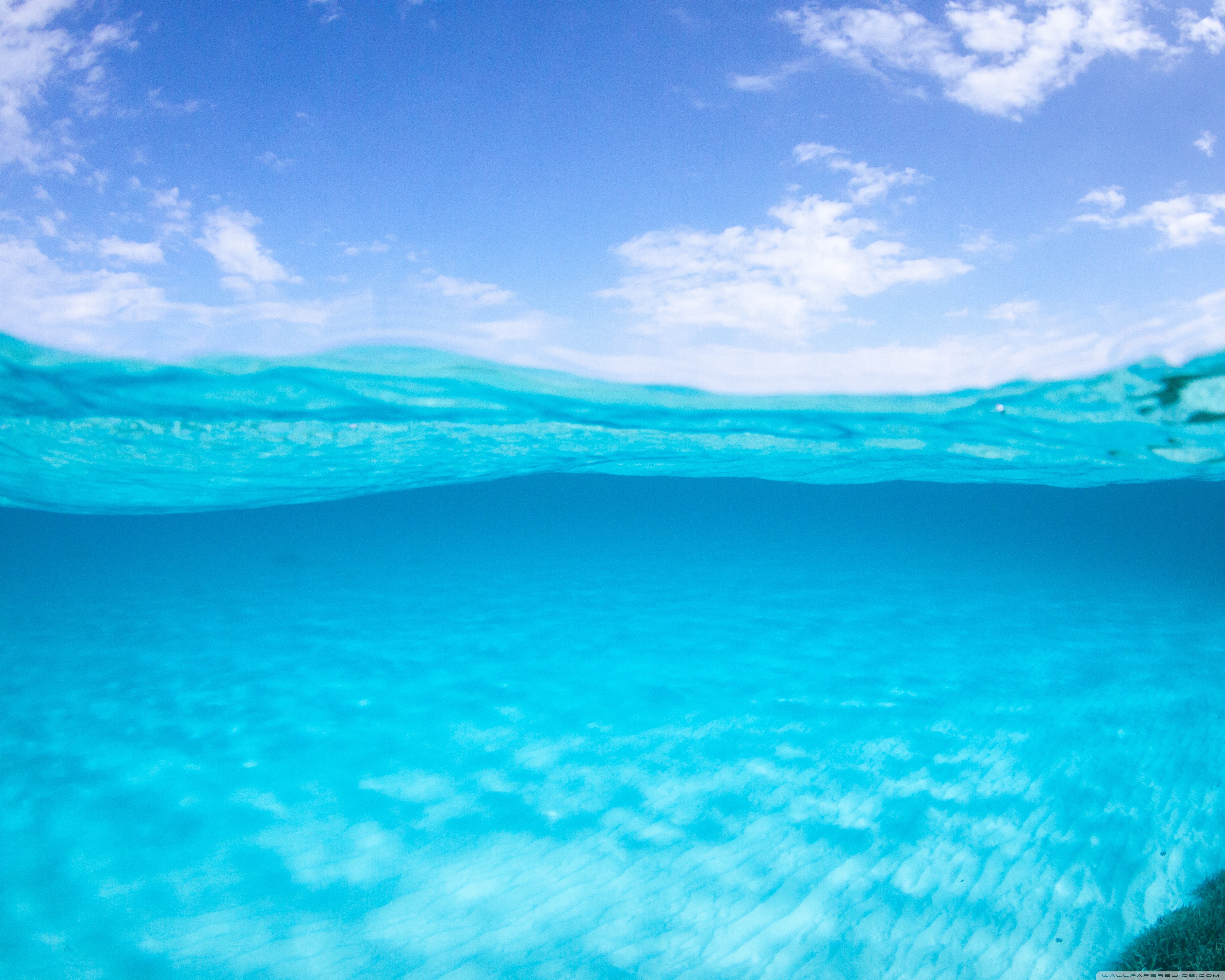 Half Underwater Half Above Water - HD Wallpaper 