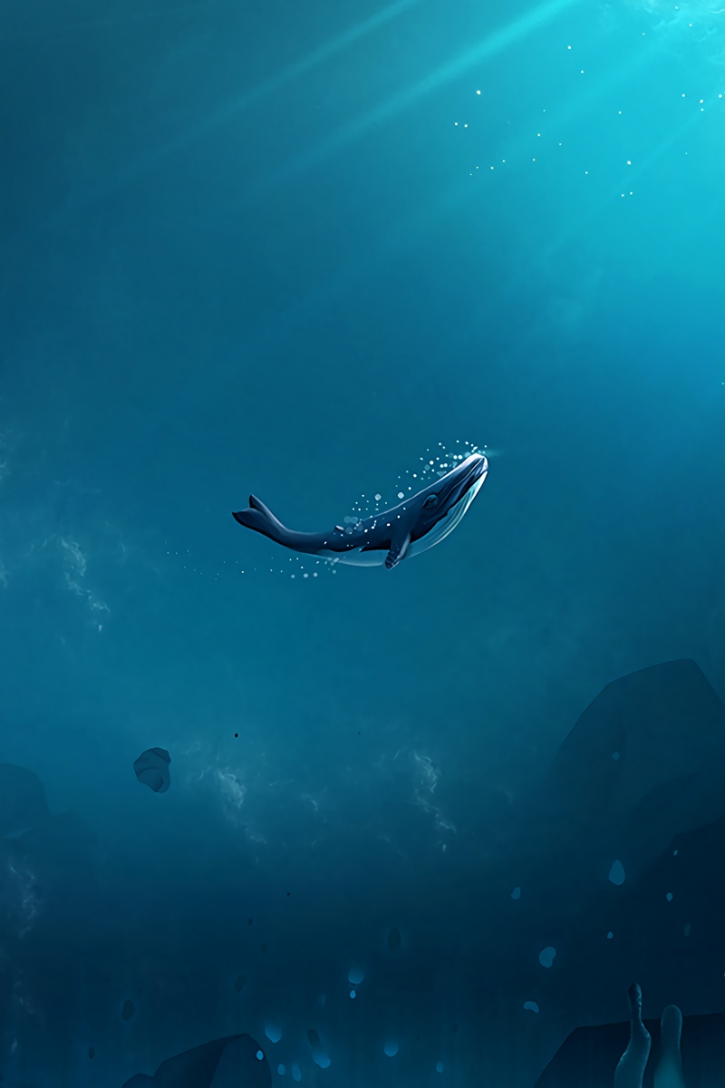 Wallpaper Whale, Ocean, Underwater World, Air Bubbles, - Underwater Ocean  Wallpaper Iphone - 800x1200 Wallpaper 