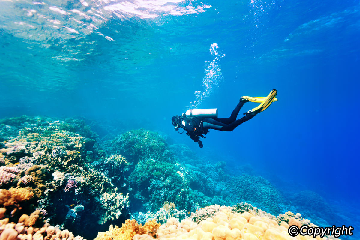 Diving Hd Wallpapers, Desktop Wallpaper - Scuba Diving In Andaman -  1200x800 Wallpaper 