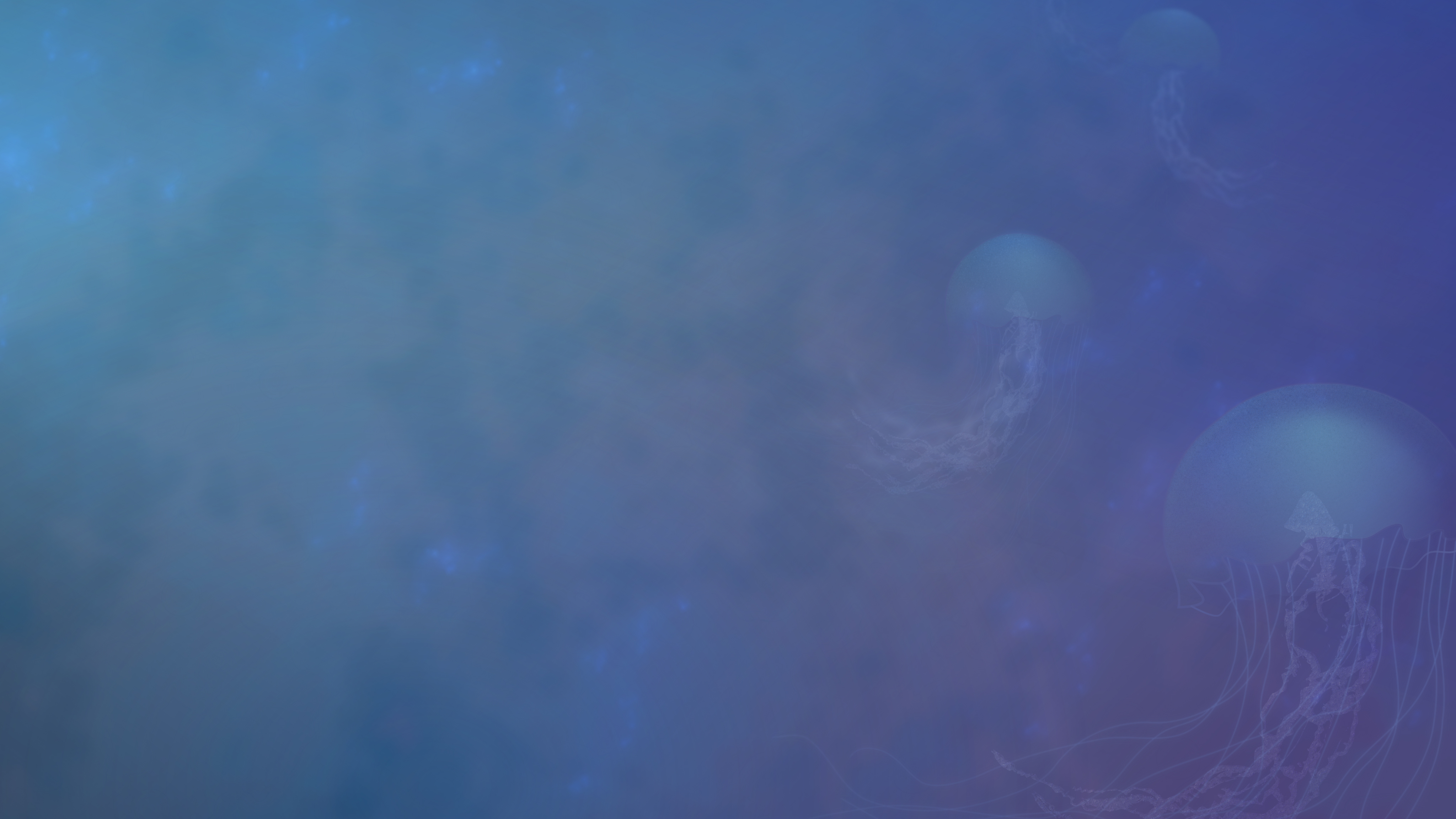 Jellyfishes Under The Sea 4k Wallpapers - HD Wallpaper 