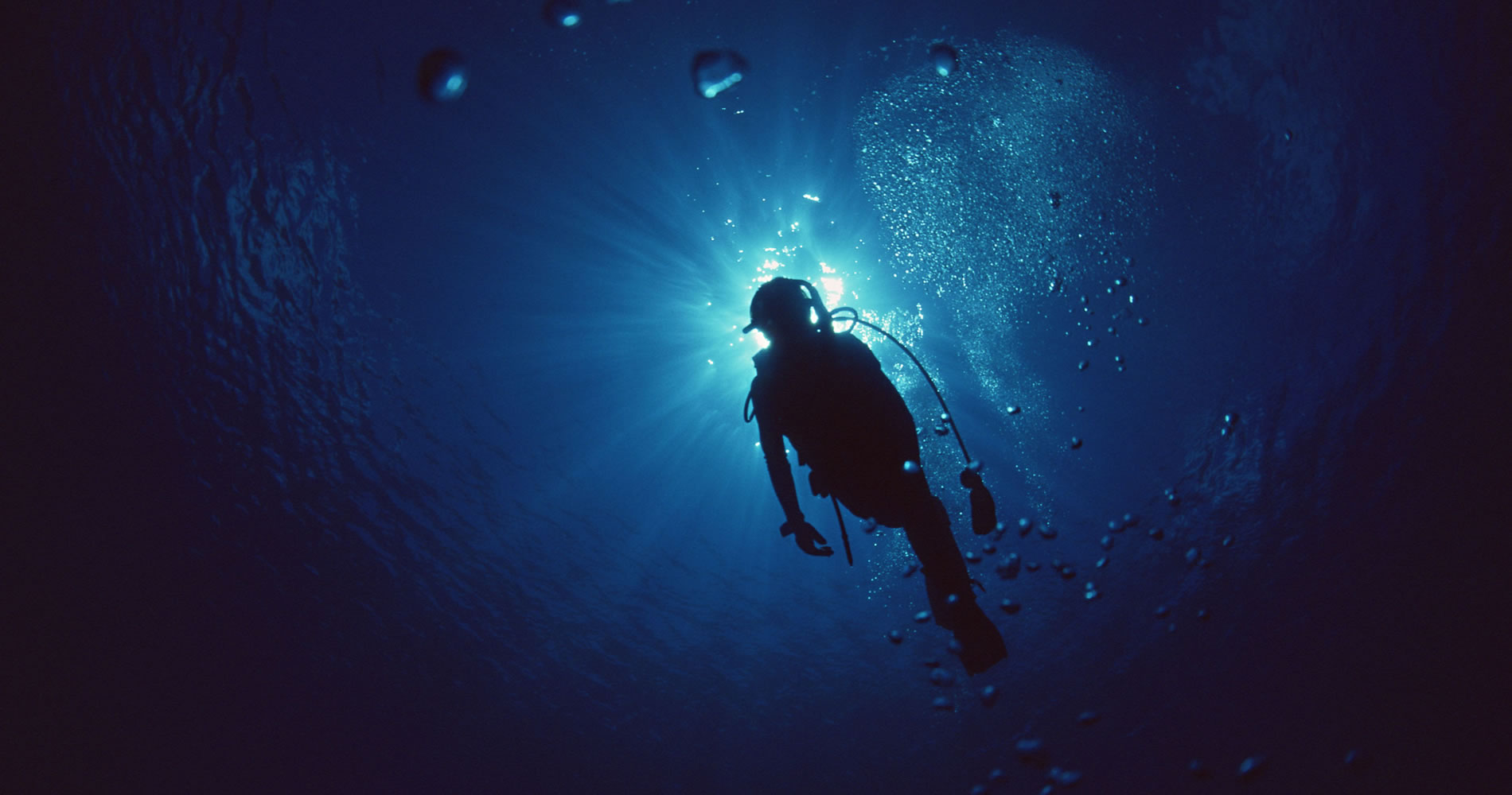 “excellent Diving Experience” - Finswimming - HD Wallpaper 