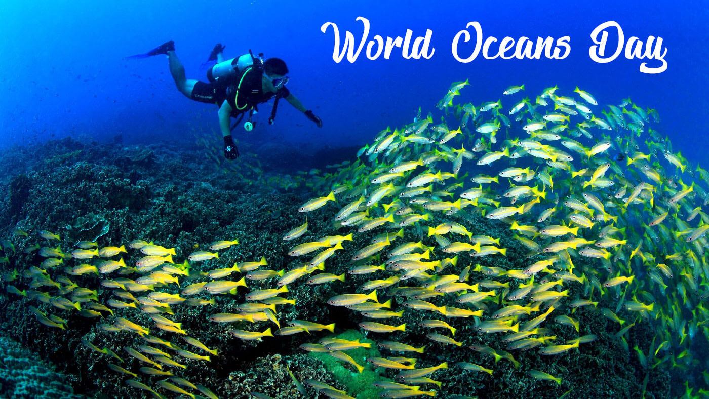 Redang Diving - HD Wallpaper 