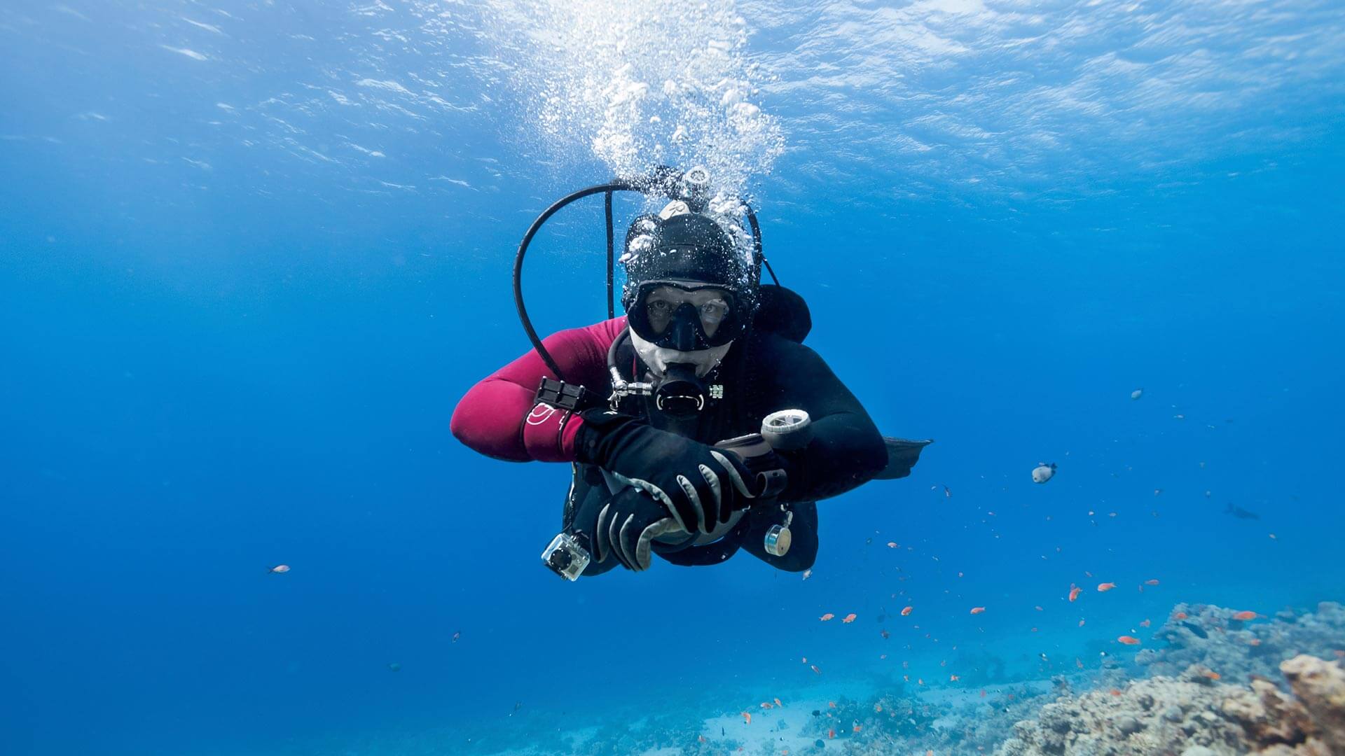 Master Scuba Diver - Underwater Diving - HD Wallpaper 
