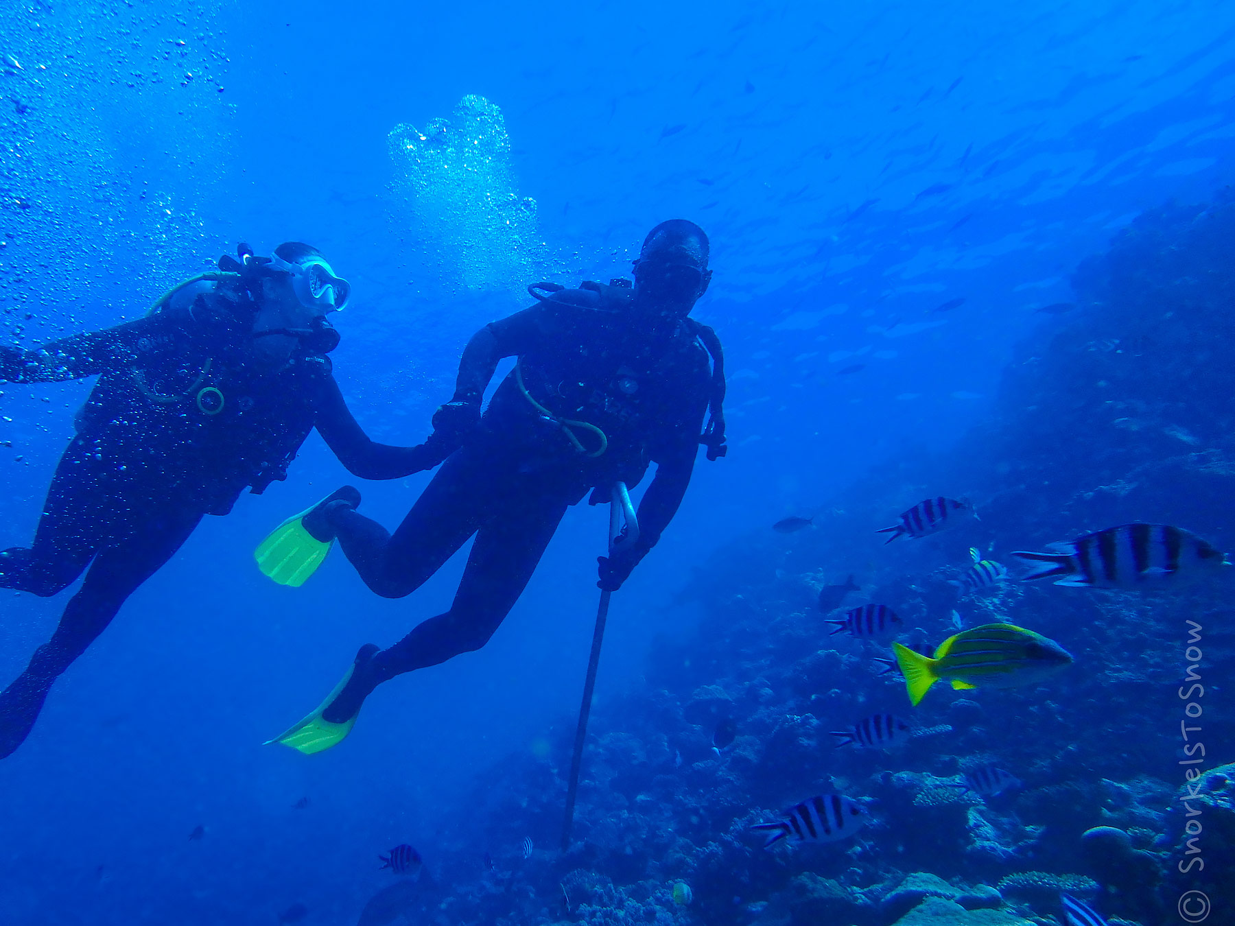 Underwater - HD Wallpaper 