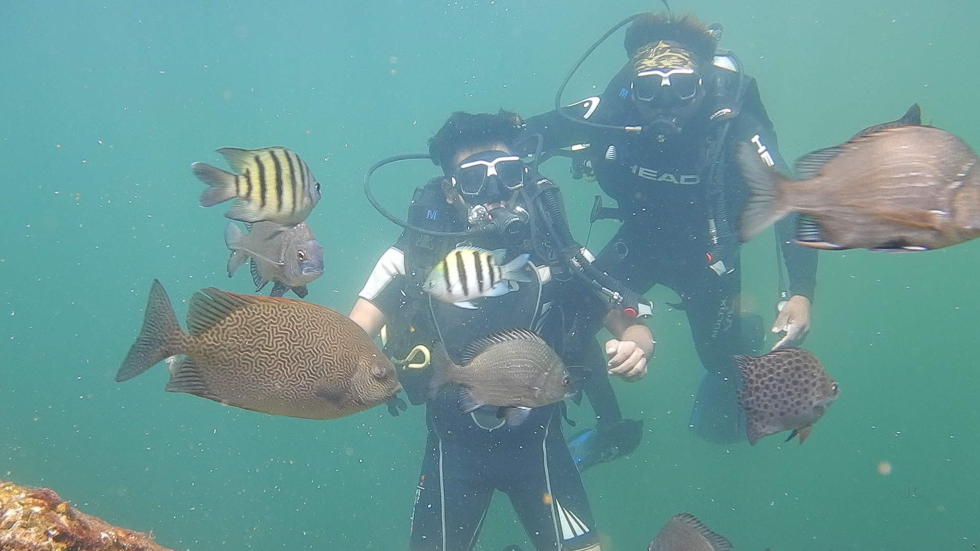 Scuba Diving In Ratnagiri - HD Wallpaper 