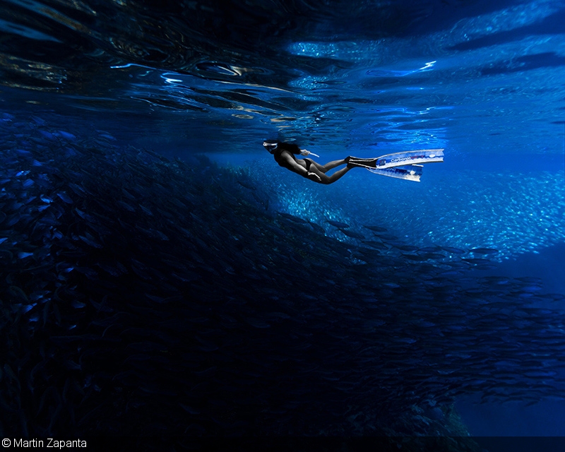 Freediving Wallpaper - HD Wallpaper 